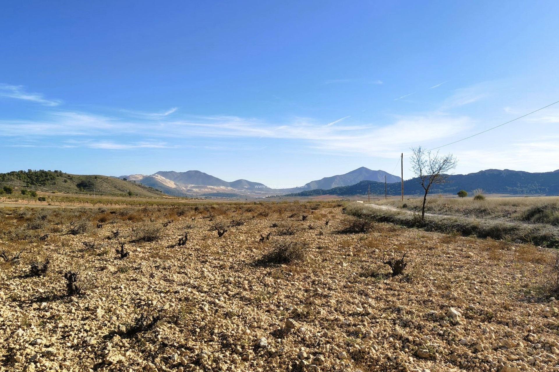 Herverkoop - Land - Canada del Trigo - Inland