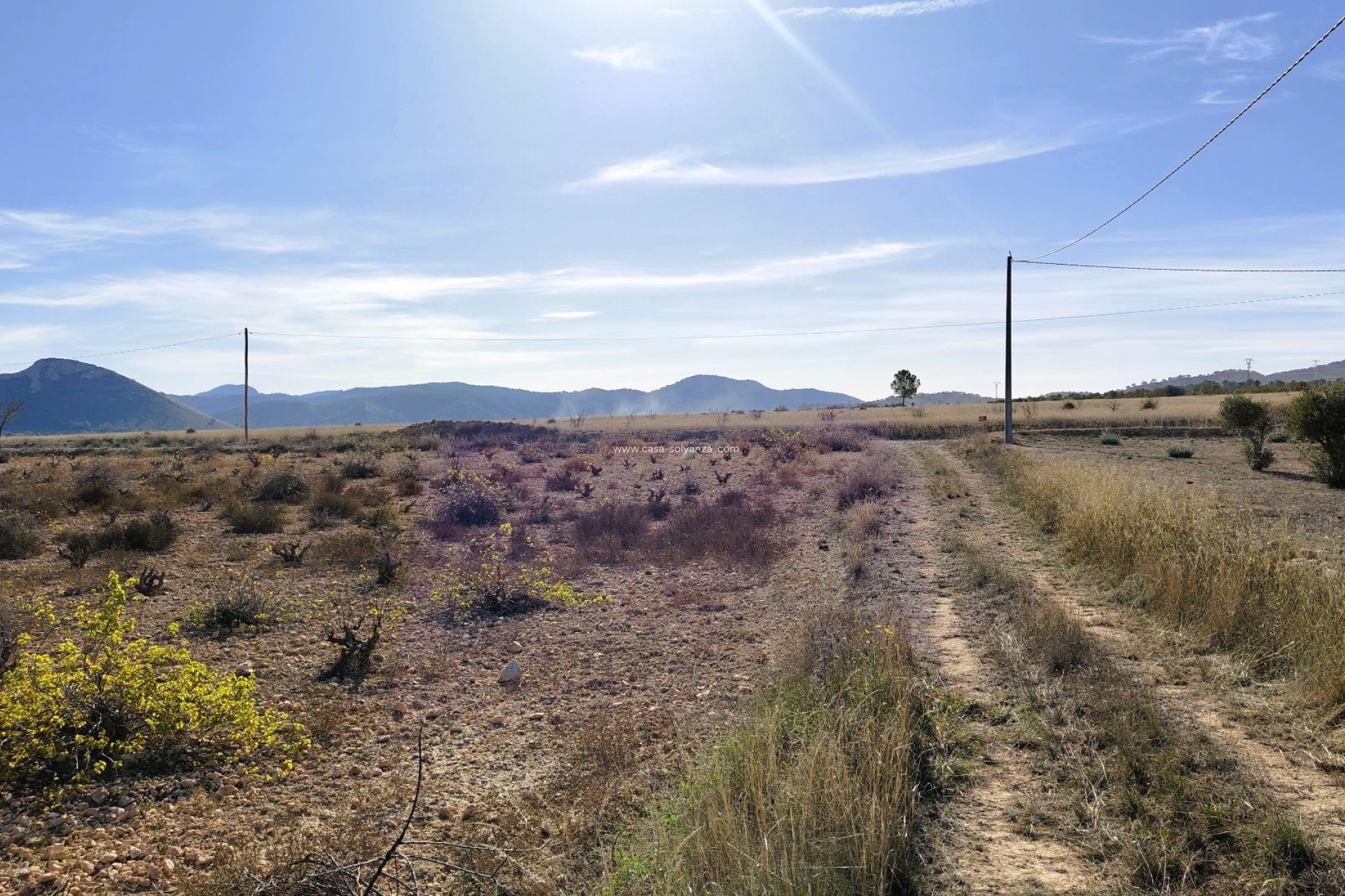 Herverkoop - Land - Canada del Trigo - Inland