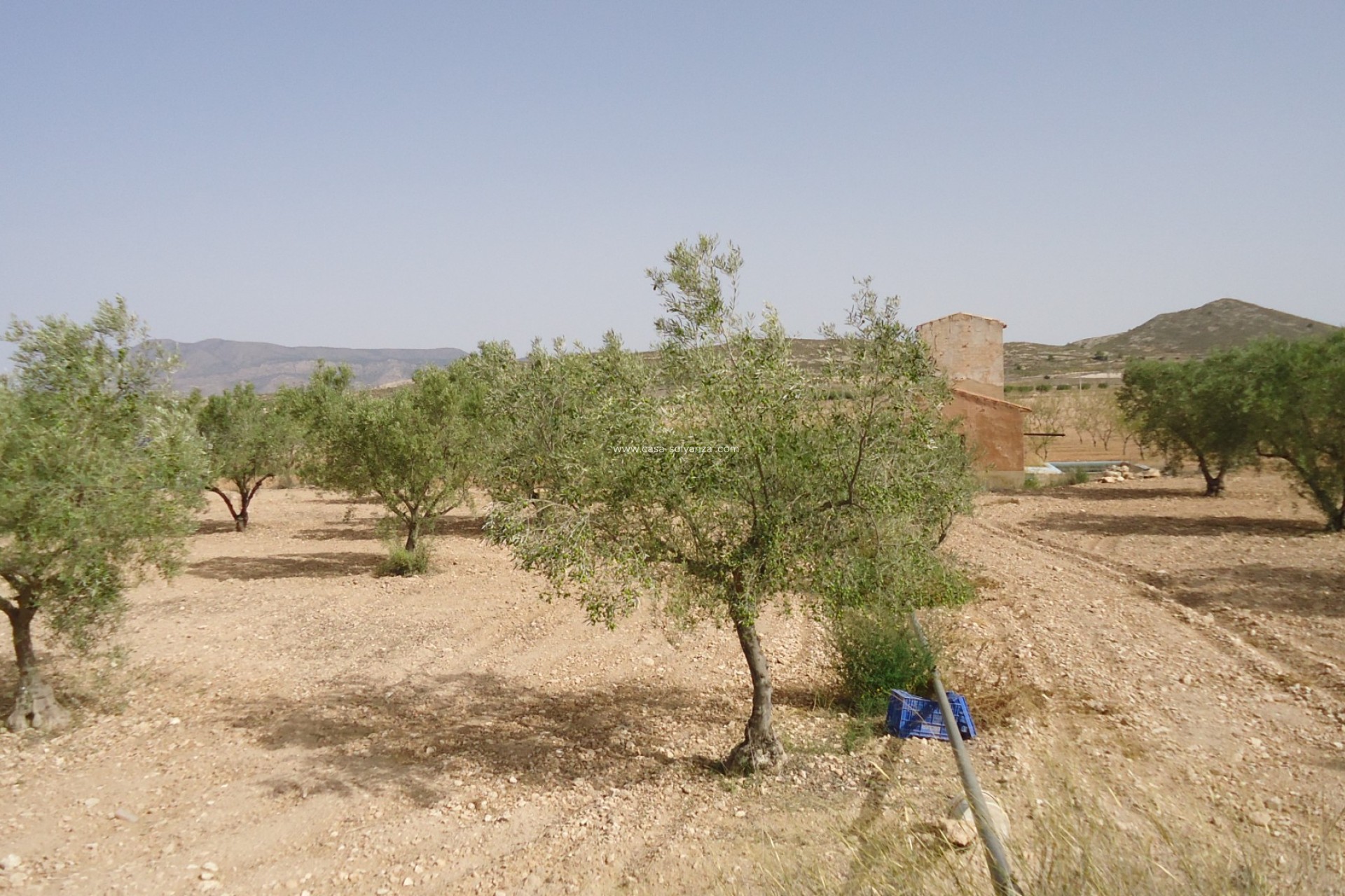 Herverkoop - Land - Canada del Trigo - Inland