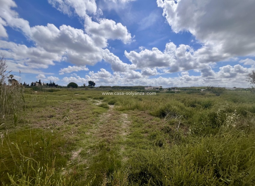 Herverkoop - Land - Catral