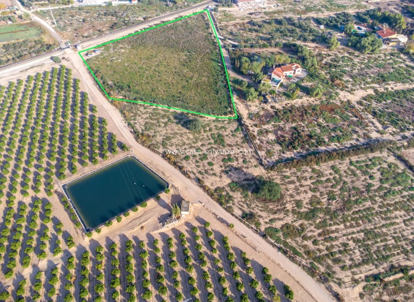 Herverkoop - Land - Crevillente - Comunidad Valenciana