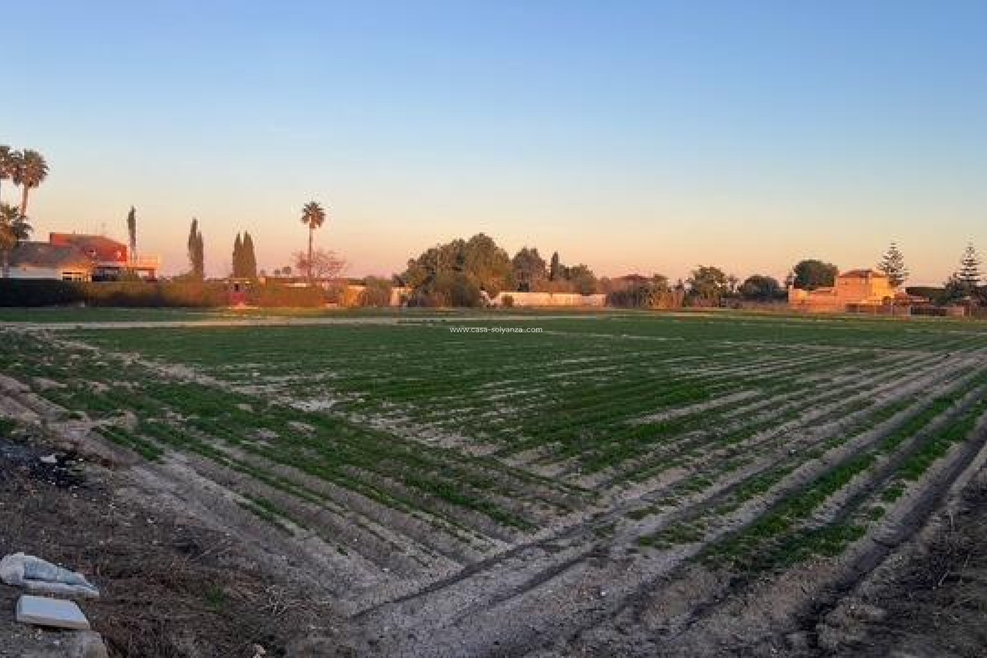 Herverkoop - Land - Dolores - Comunidad Valenciana