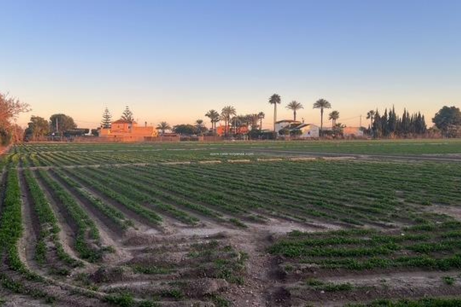 Herverkoop - Land - Dolores - Comunidad Valenciana