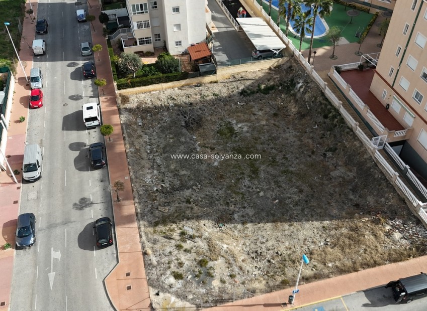 Herverkoop - Land - Guardamar del Segura - Costa Blanca