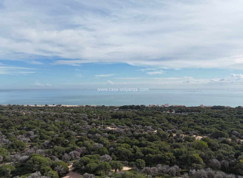 Herverkoop - Land - Guardamar del Segura - Costa Blanca