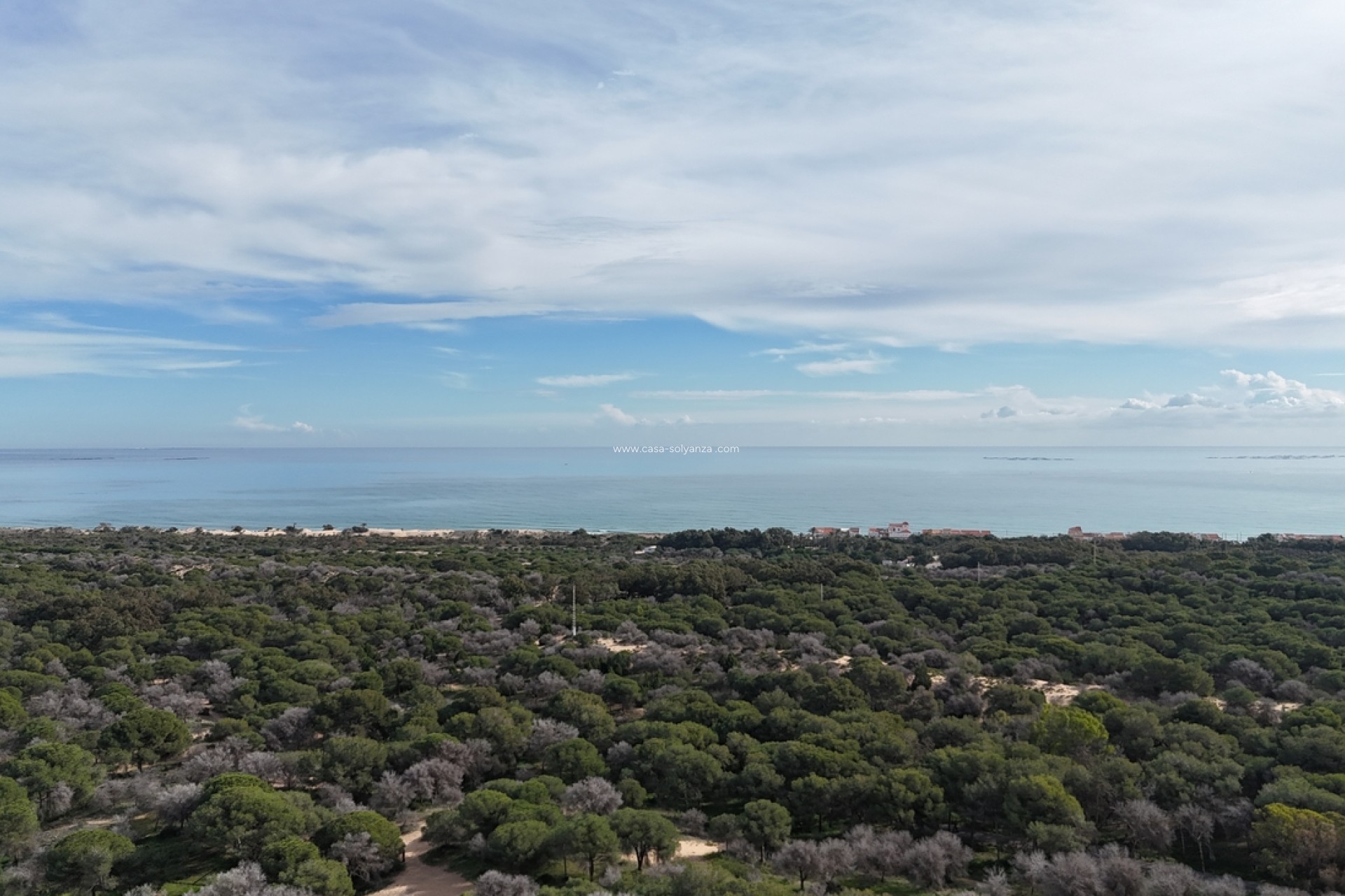 Herverkoop - Land - Guardamar del Segura - Costa Blanca