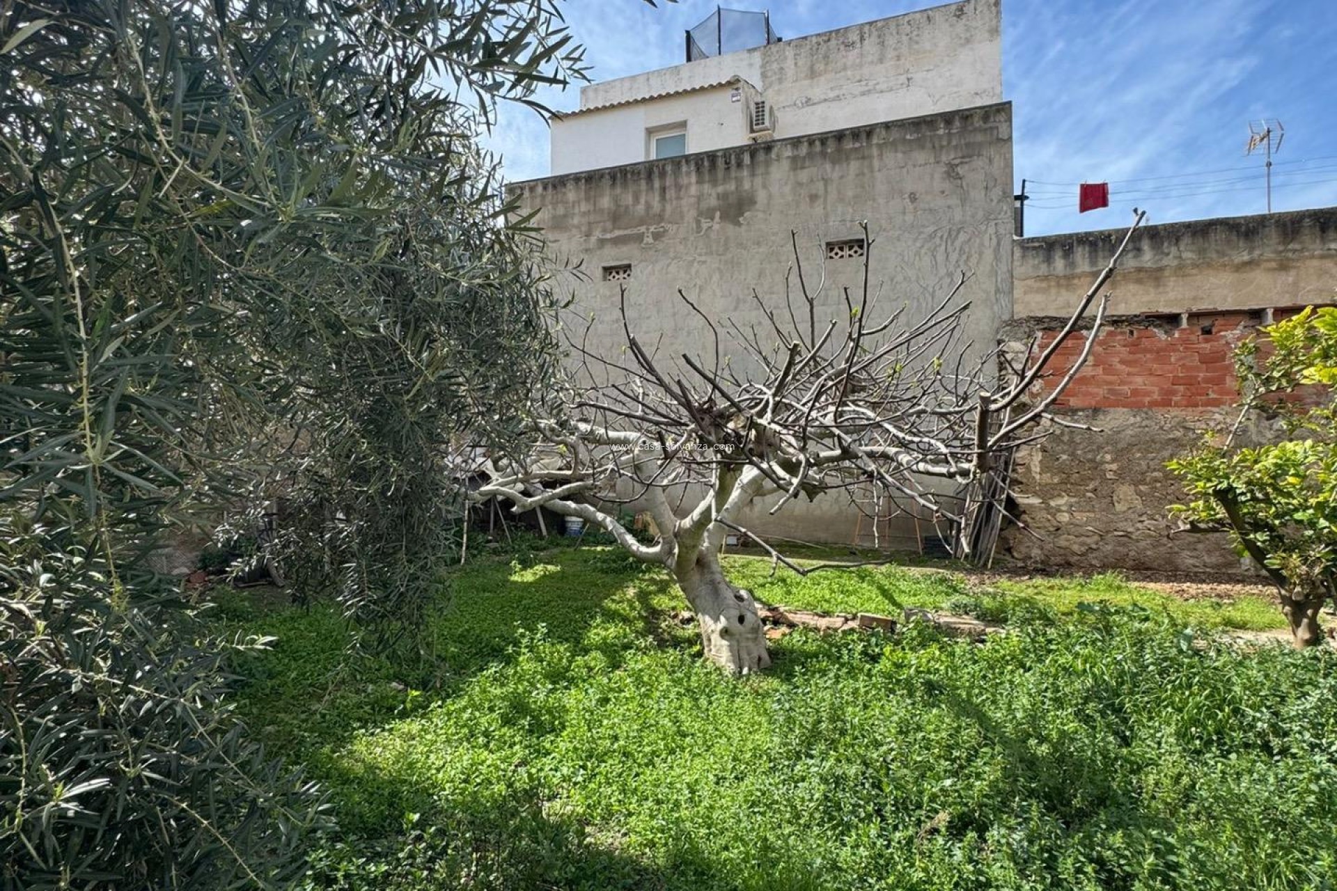 Herverkoop - Land - Jacarilla