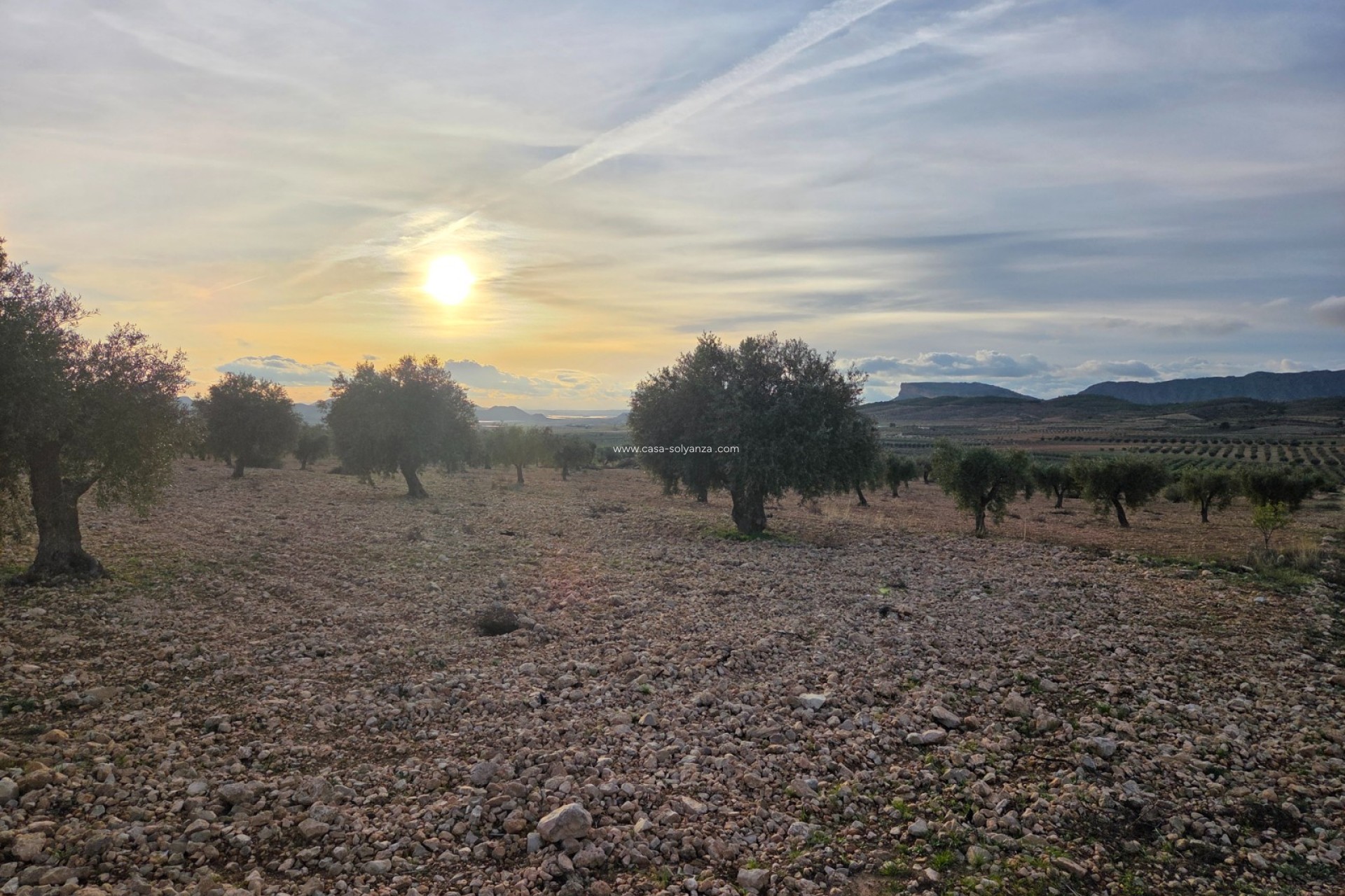 Herverkoop - Land - Jumilla