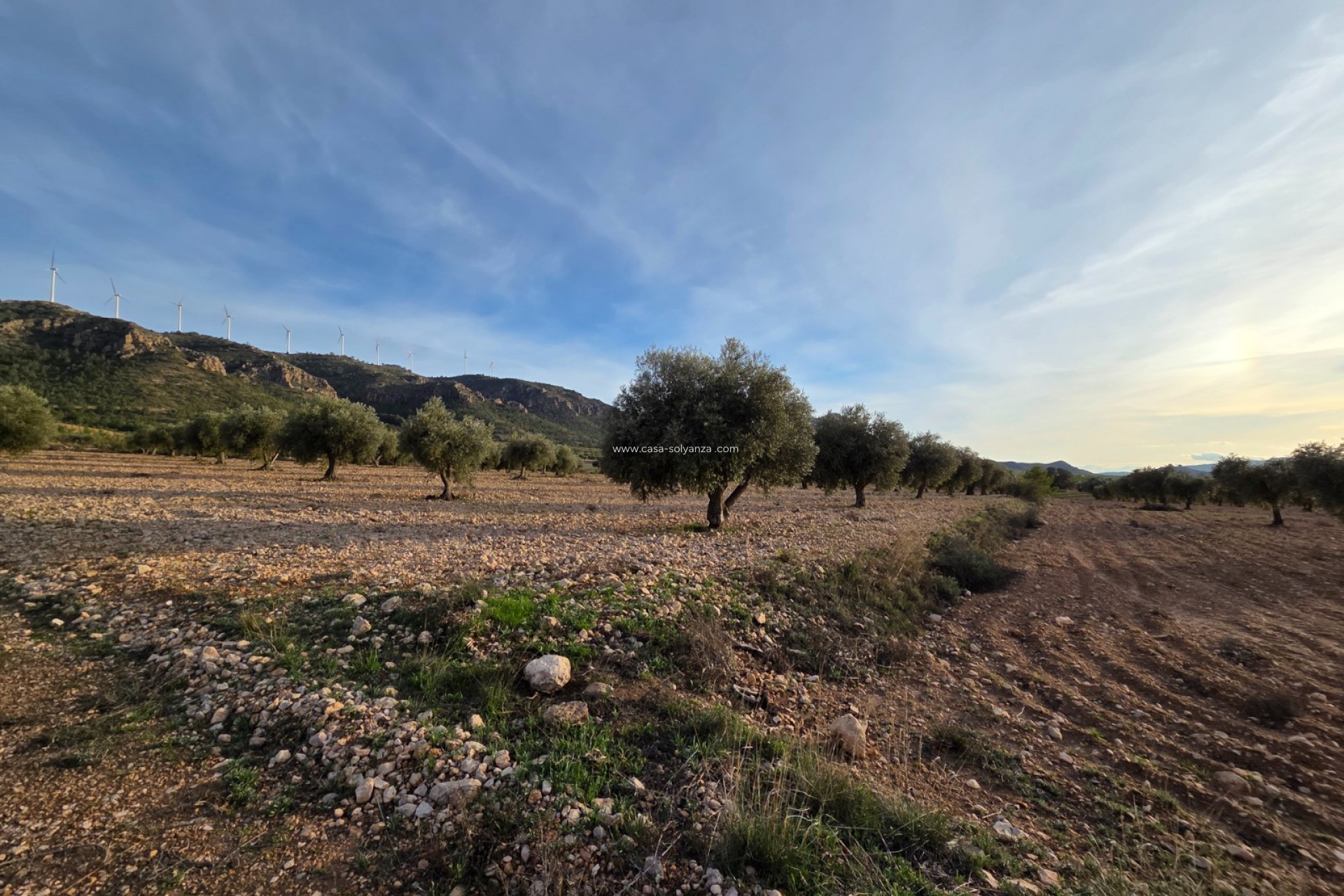 Herverkoop - Land - Jumilla