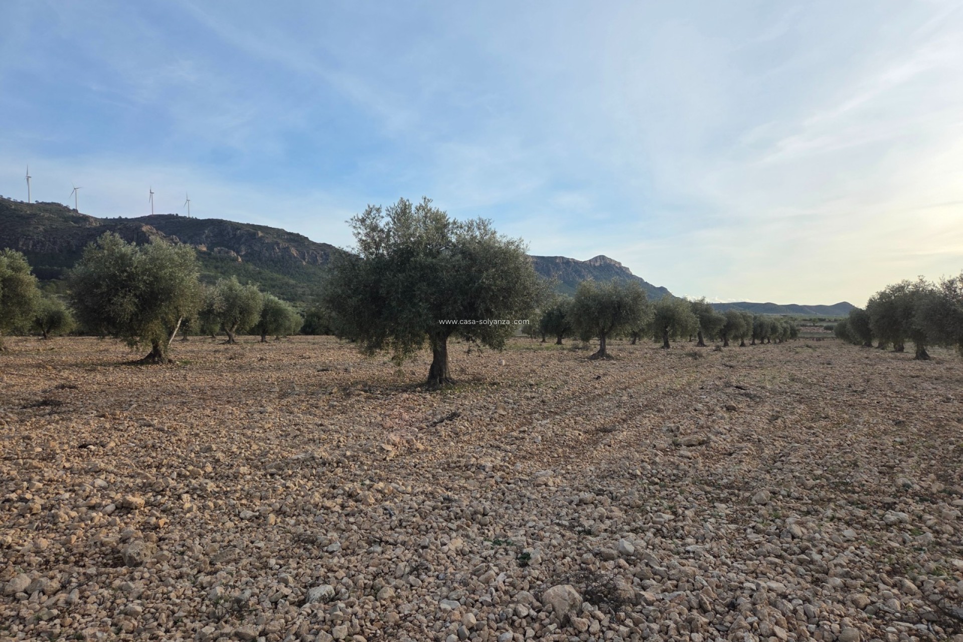 Herverkoop - Land - Jumilla