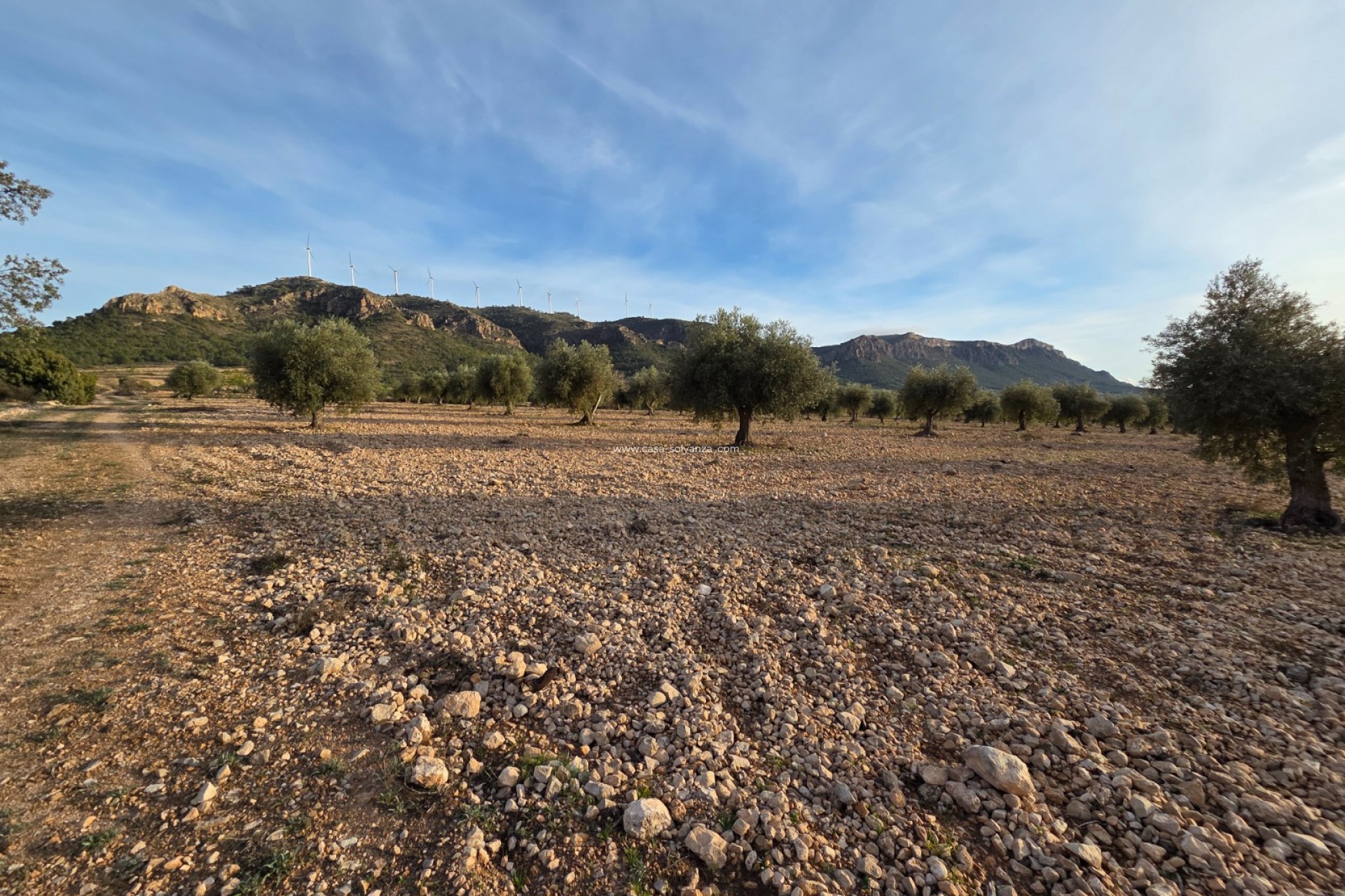 Herverkoop - Land - Jumilla