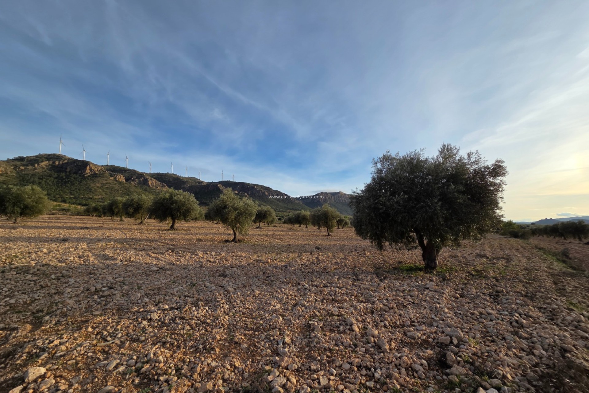 Herverkoop - Land - Jumilla