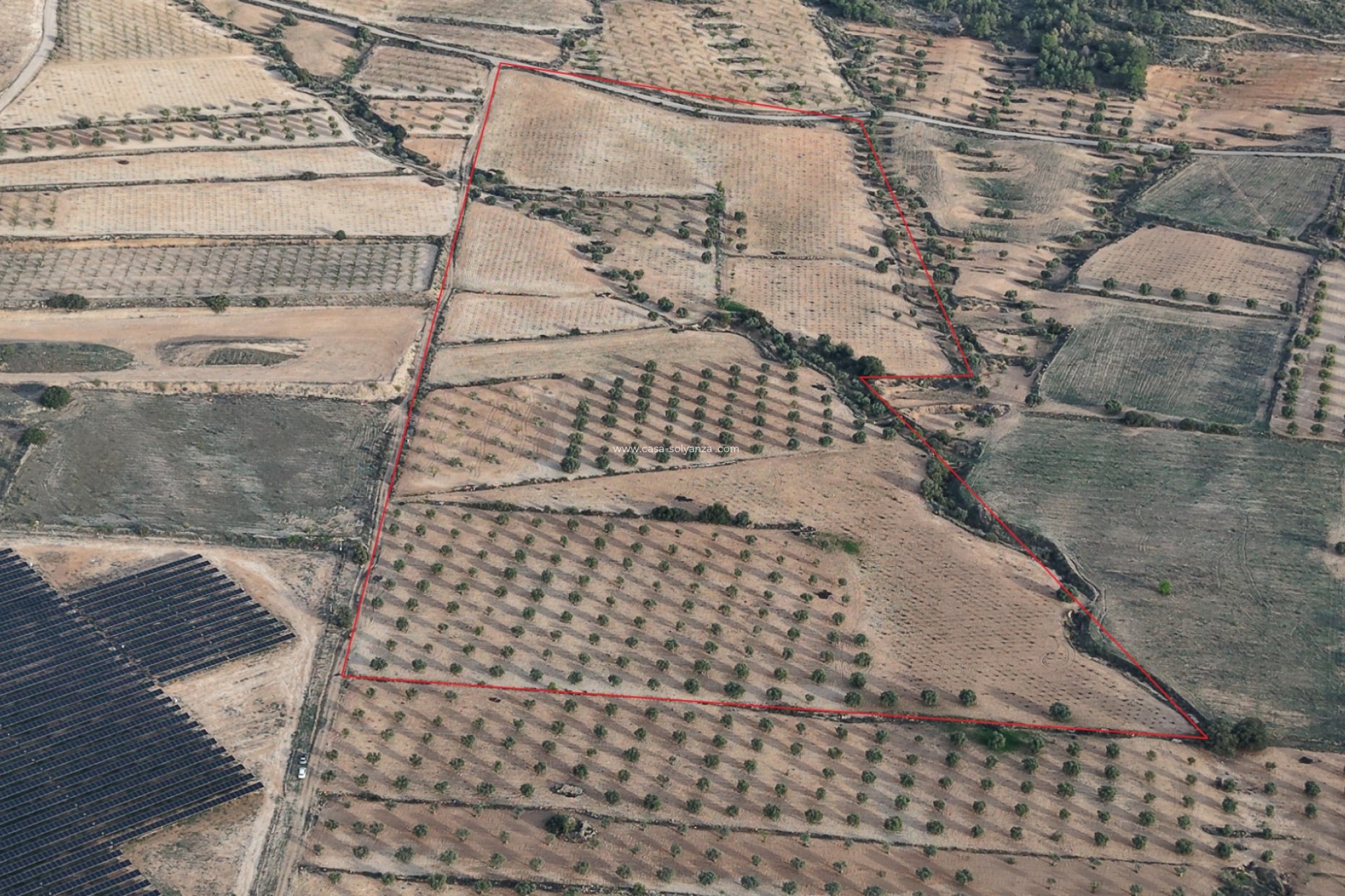 Herverkoop - Land - Jumilla