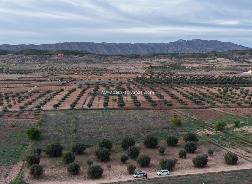 Herverkoop - Land - Jumilla