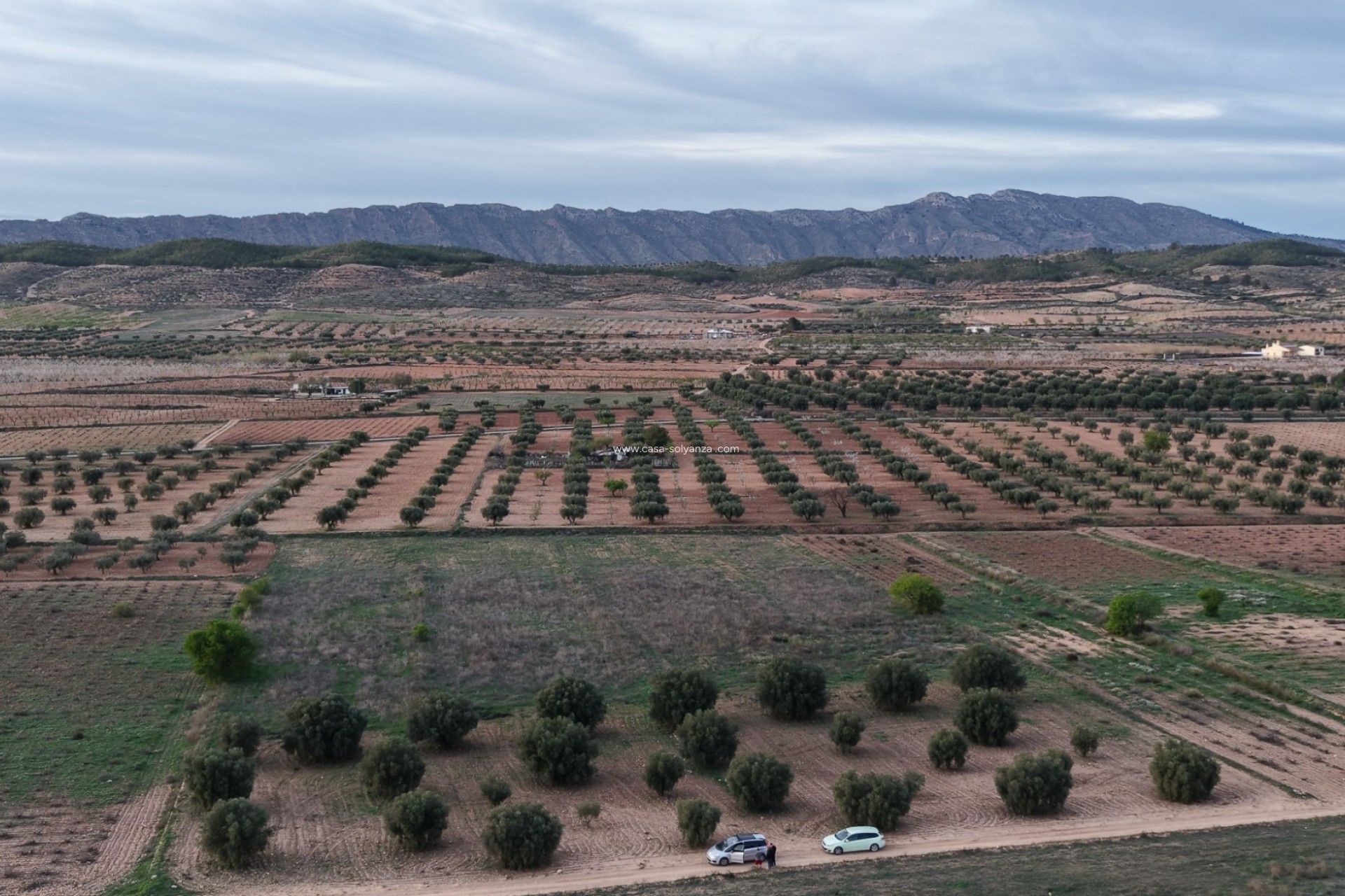 Herverkoop - Land - Jumilla