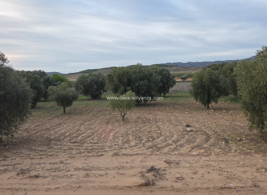 Herverkoop - Land - Jumilla