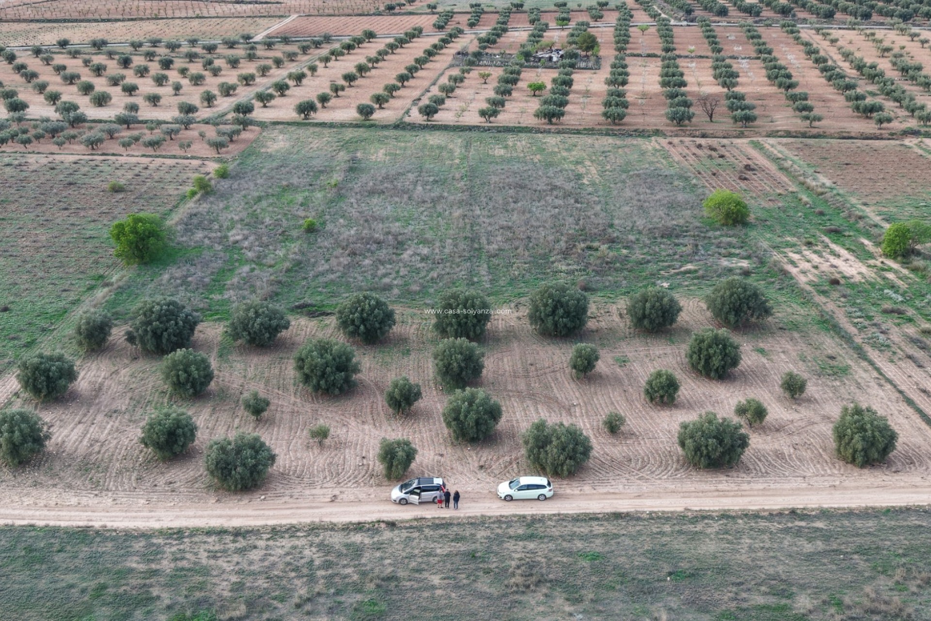 Herverkoop - Land - Jumilla