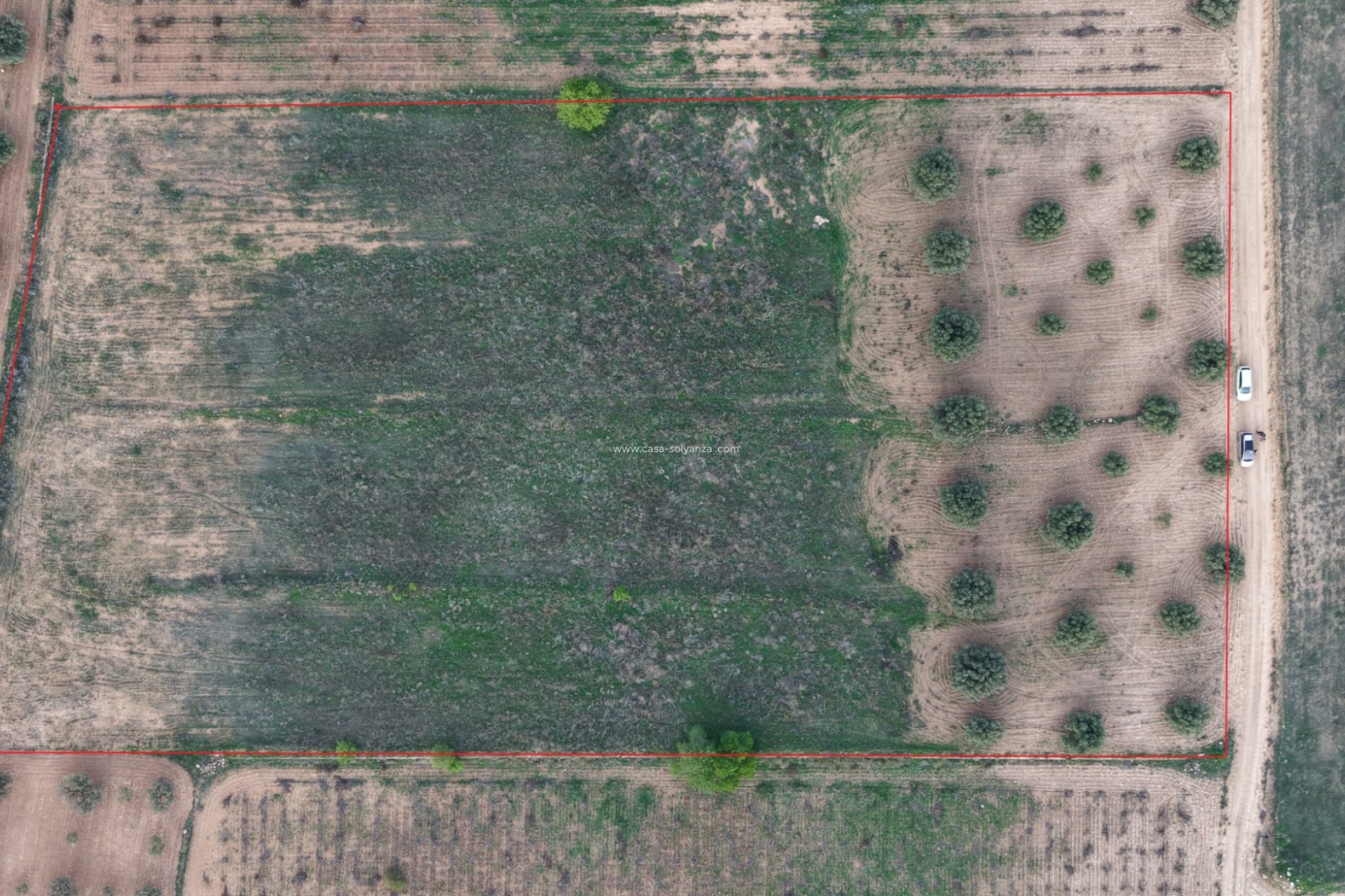 Herverkoop - Land - Jumilla