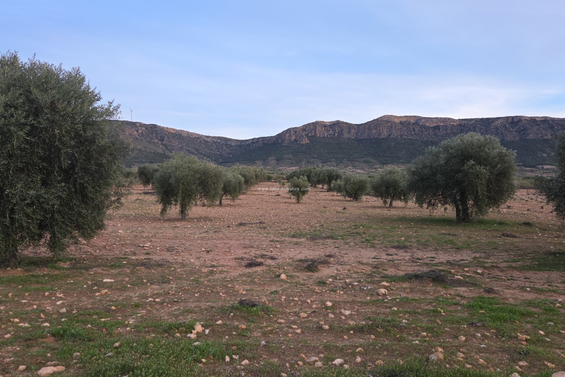 Herverkoop - Land - Jumilla