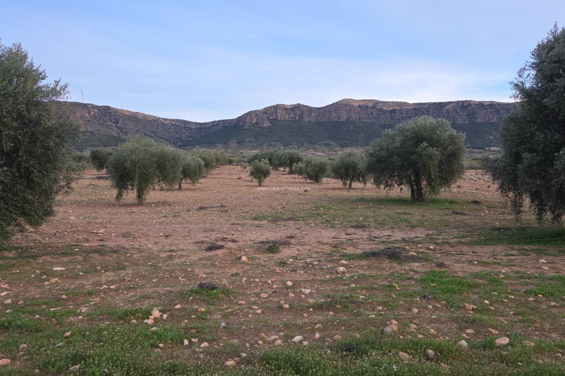 Herverkoop - Land - Jumilla