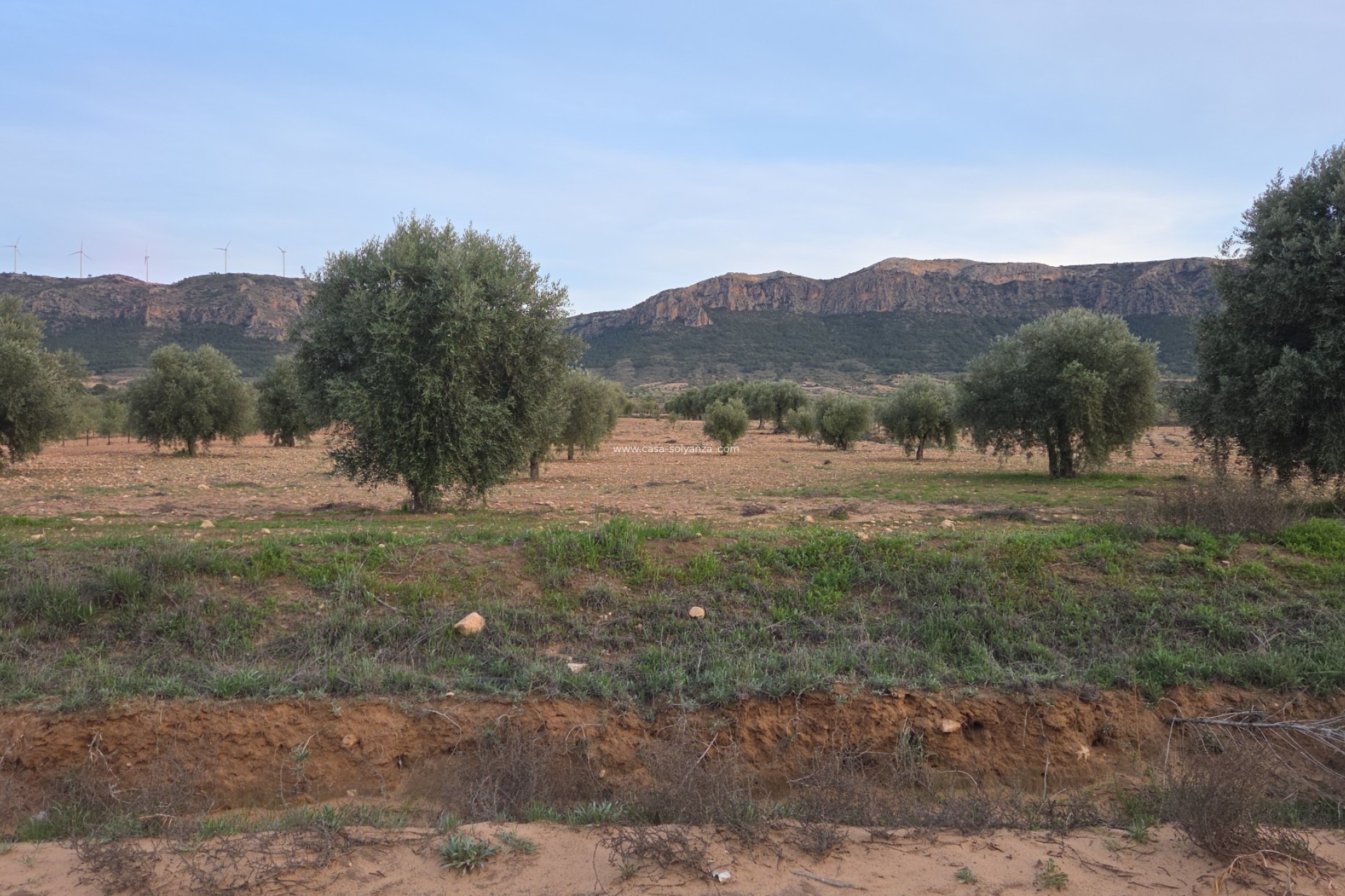 Herverkoop - Land - Jumilla