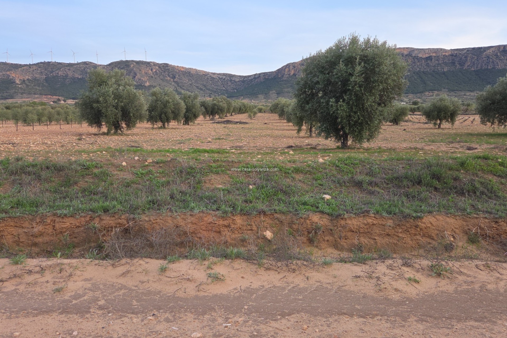 Herverkoop - Land - Jumilla