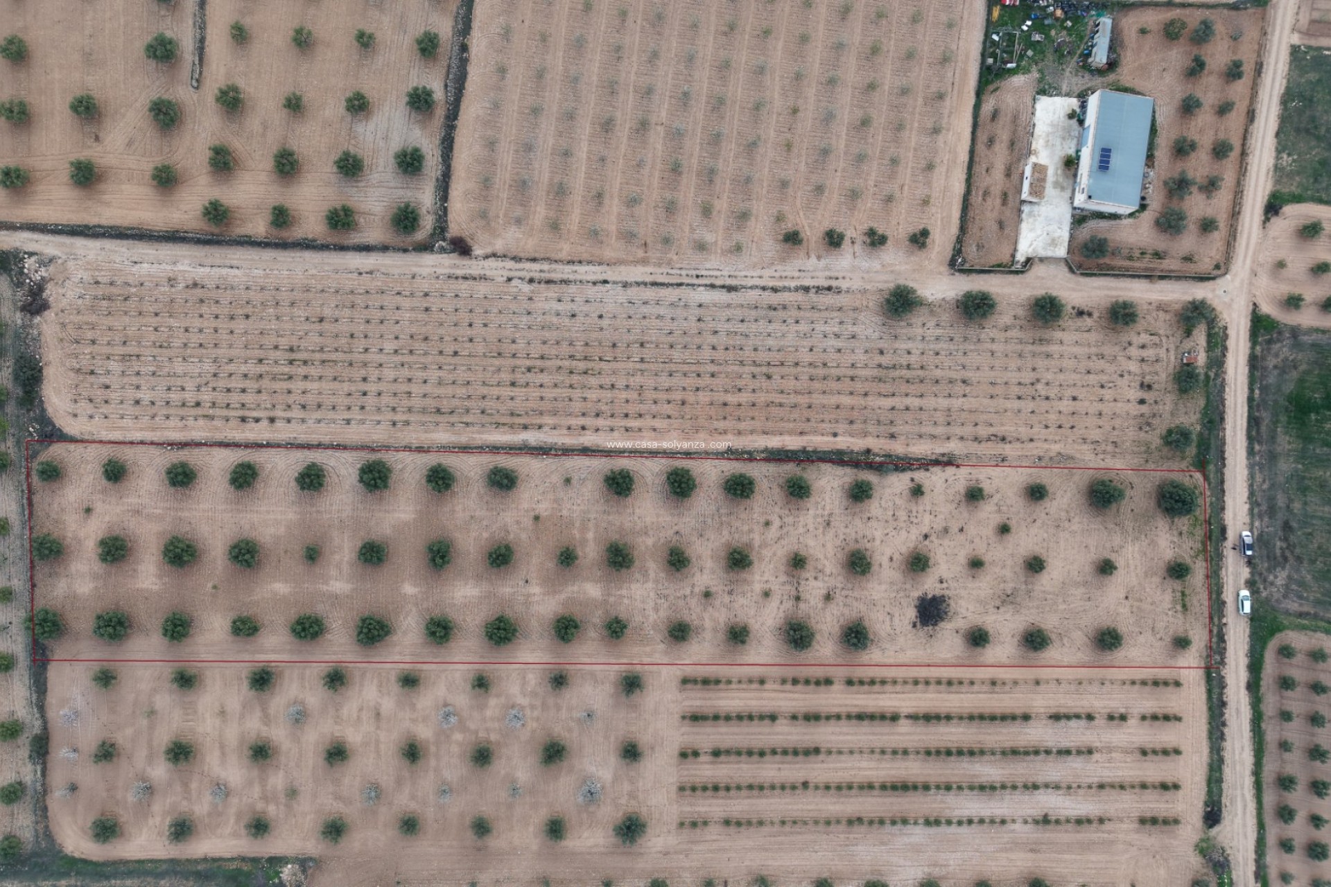 Herverkoop - Land - Jumilla