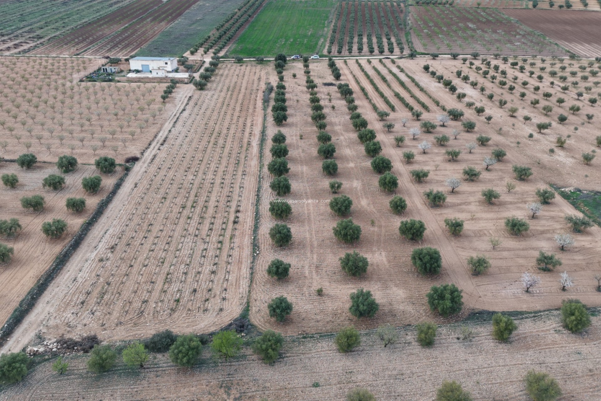 Herverkoop - Land - Jumilla