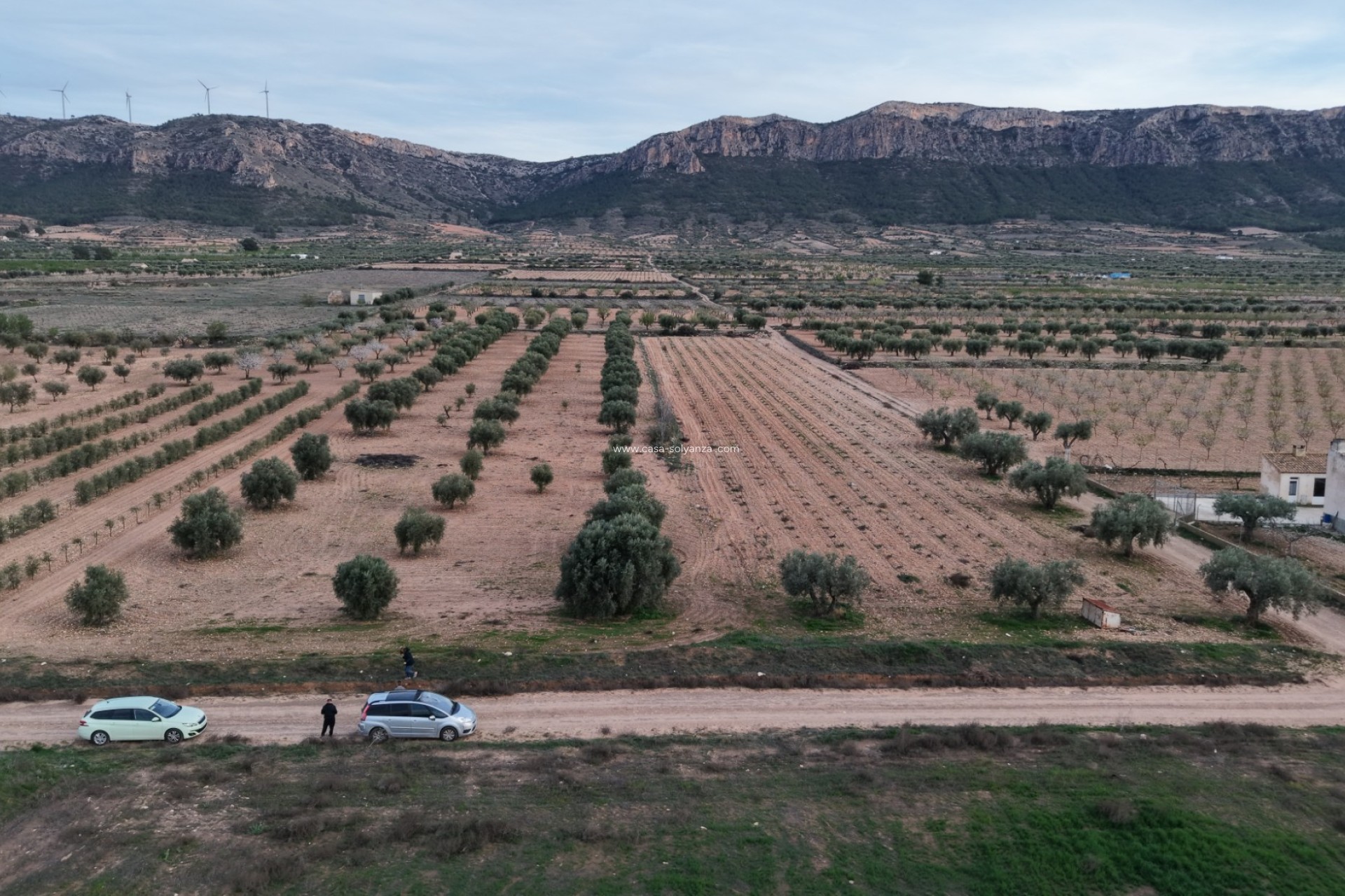 Herverkoop - Land - Jumilla