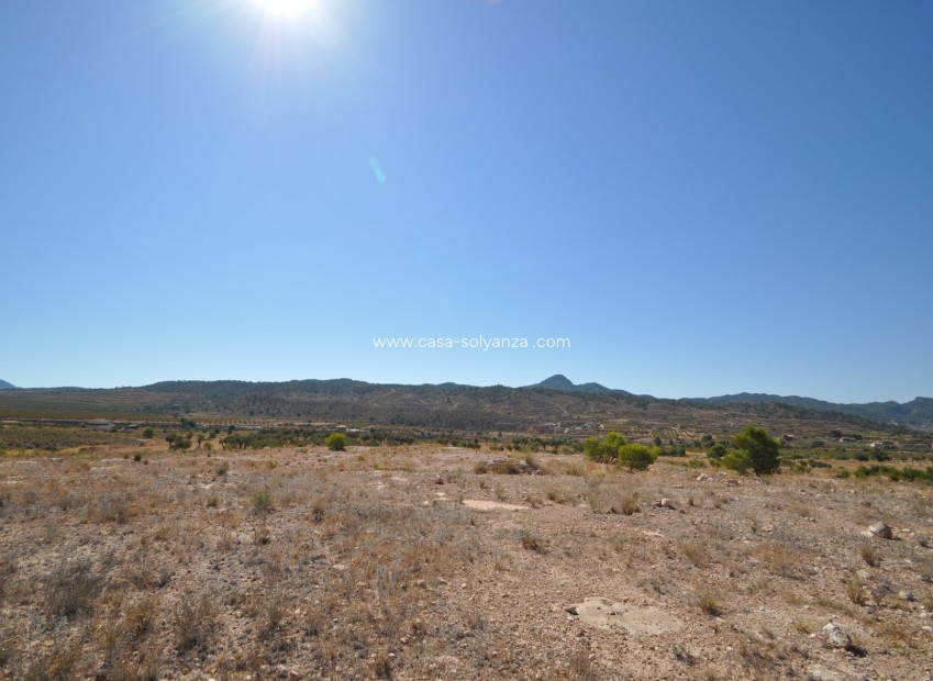 Herverkoop - Land - Macisvenda - Inland