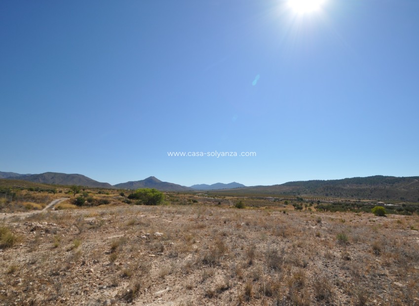 Herverkoop - Land - Macisvenda - Inland