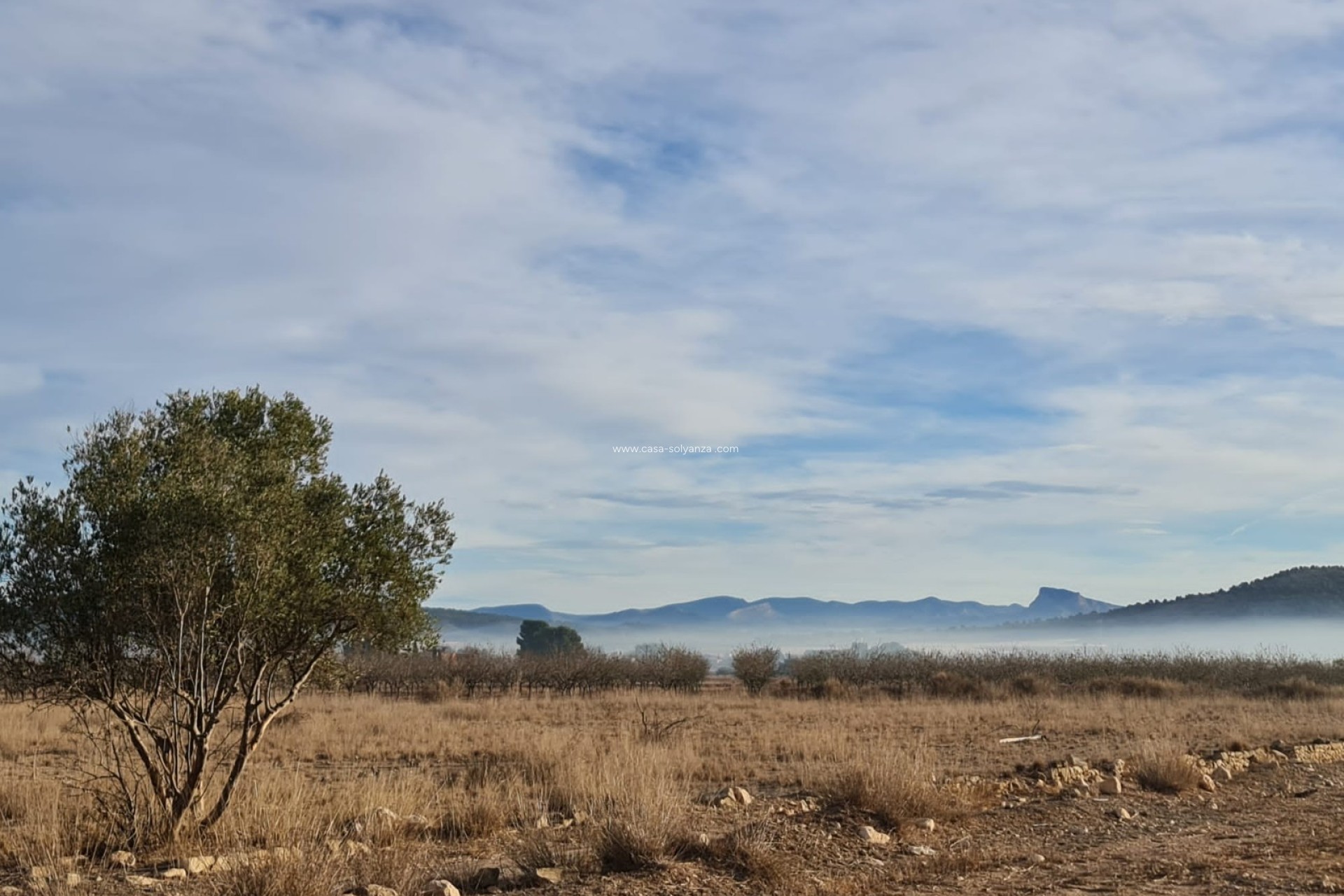 Herverkoop - Land - Monóvar - Inland