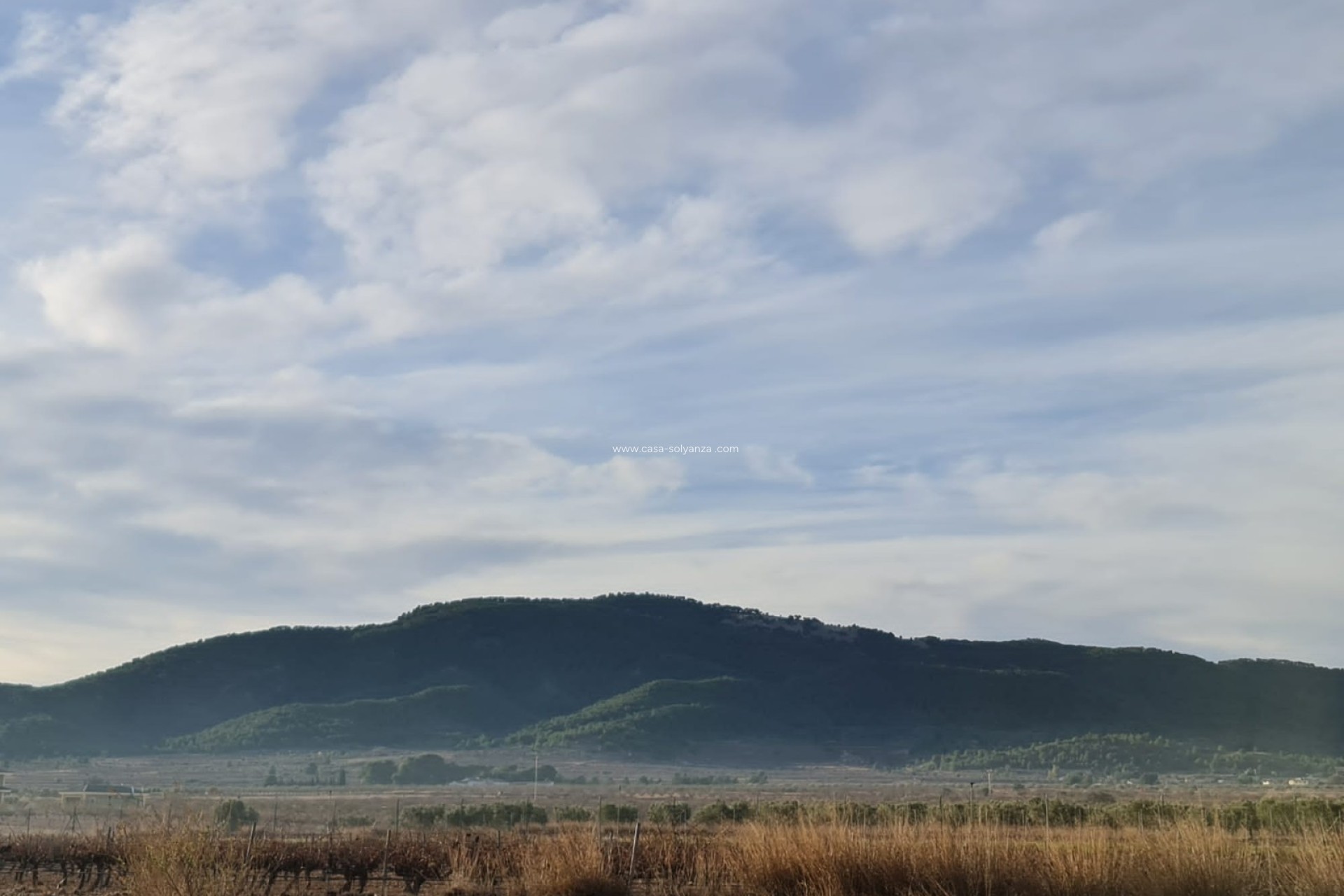 Herverkoop - Land - Monóvar - Inland