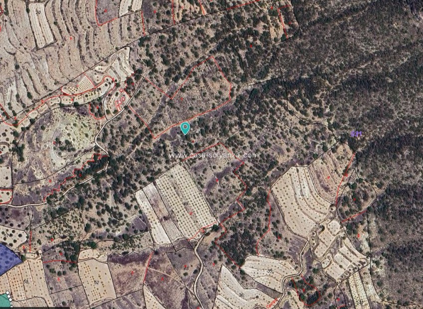 Herverkoop - Land - Monóvar - Inland