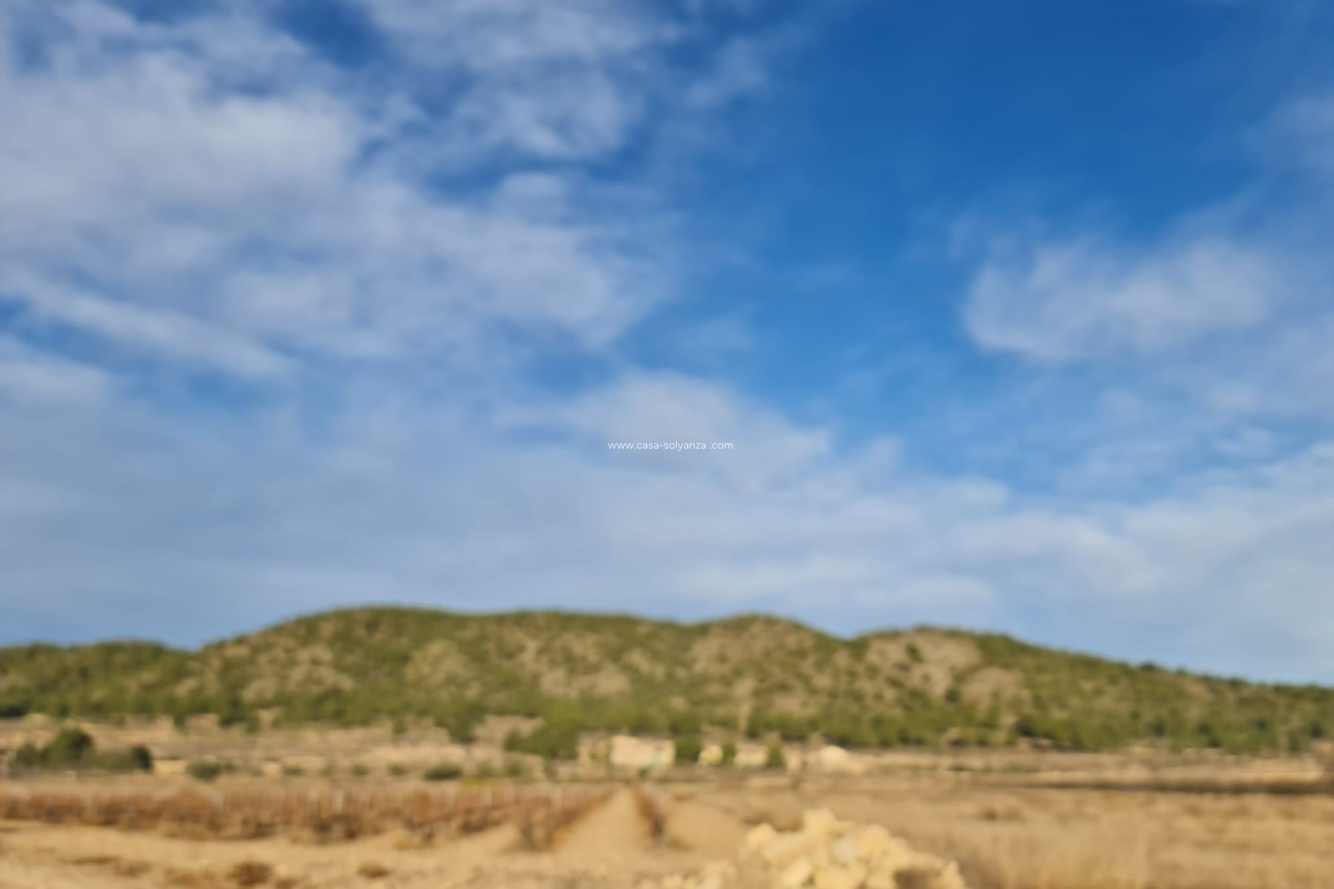 Herverkoop - Land - Monóvar - Inland