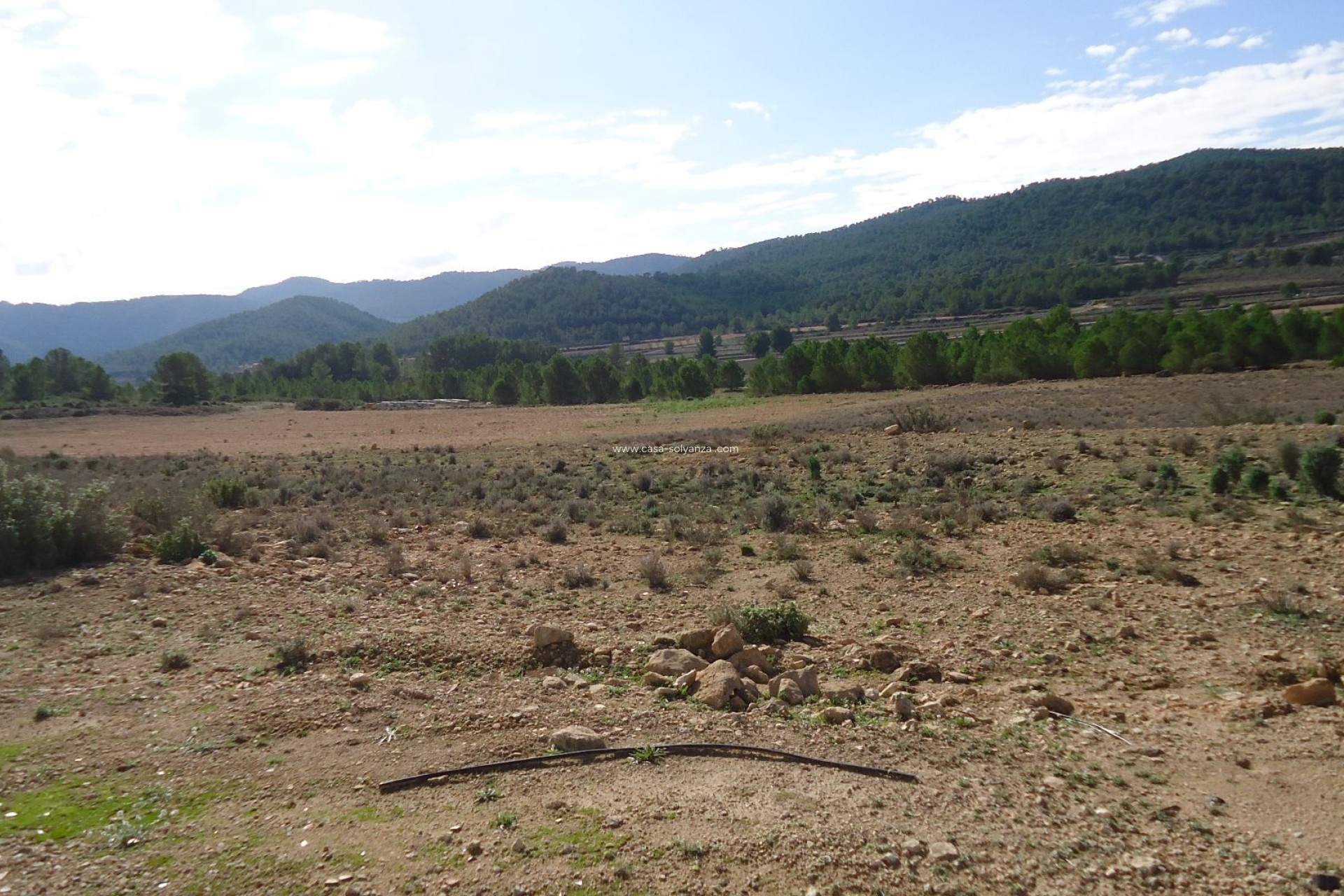 Herverkoop - Land - Monóvar - Inland