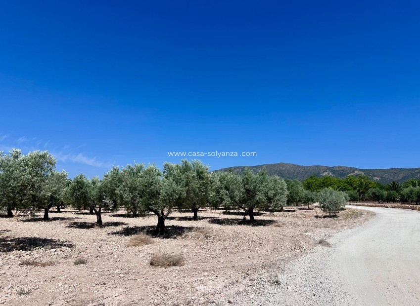 Herverkoop - Land - Monóvar - Inland