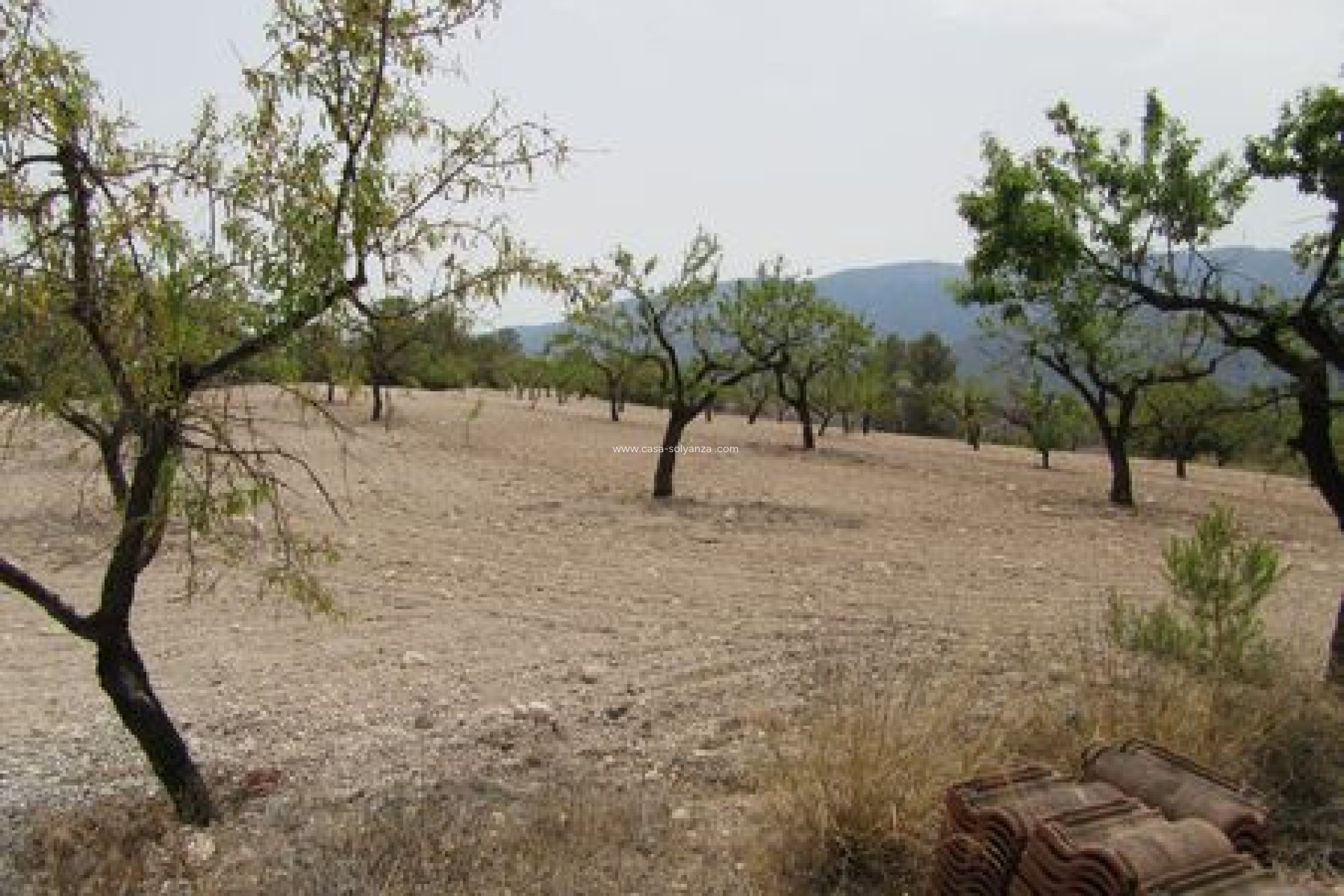 Herverkoop - Land - Murcia