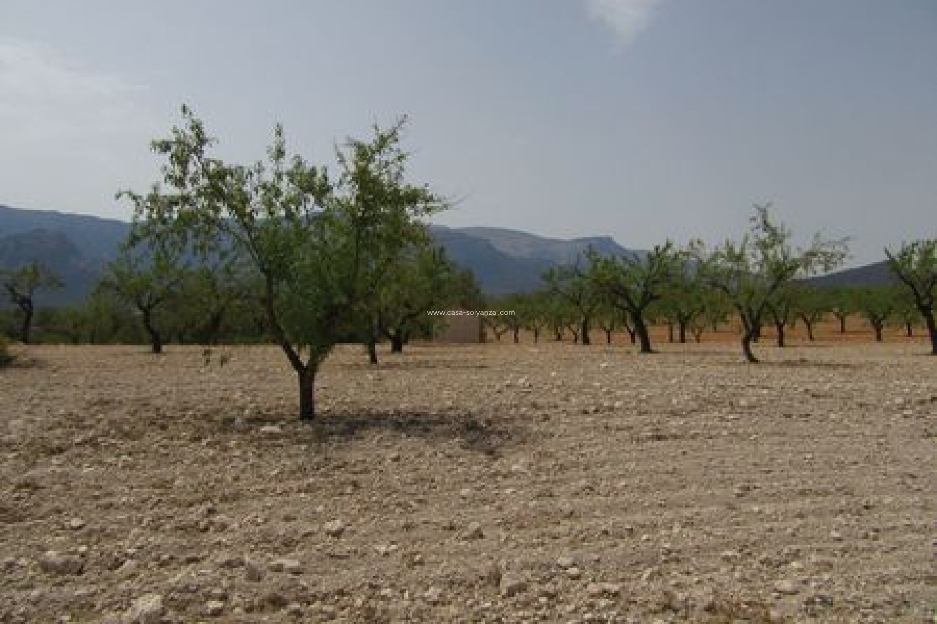 Herverkoop - Land - Murcia