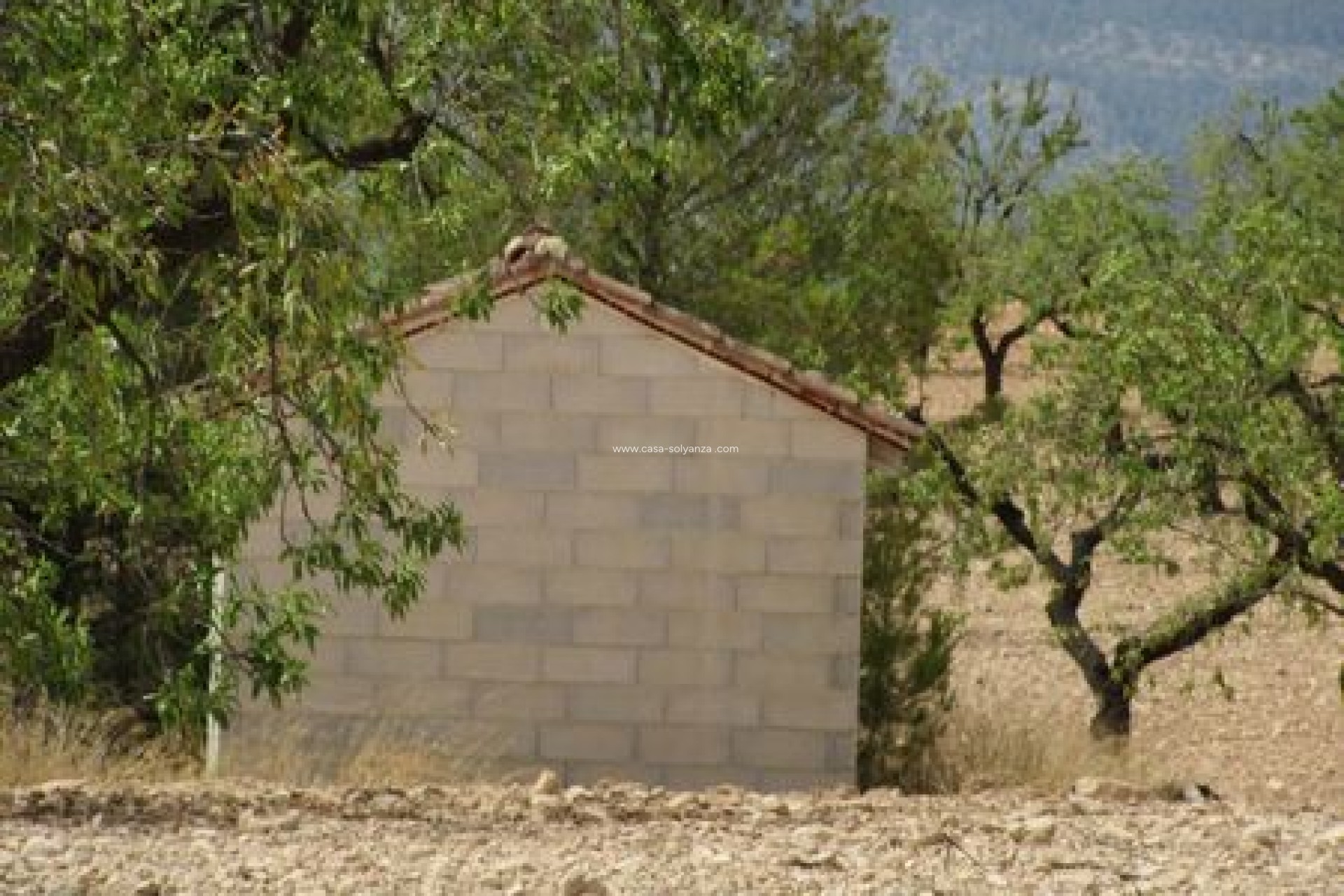 Herverkoop - Land - Murcia