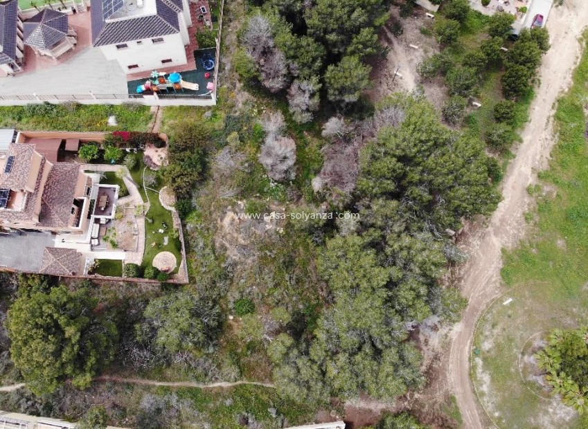 Herverkoop - Land - Orihuela - Inland