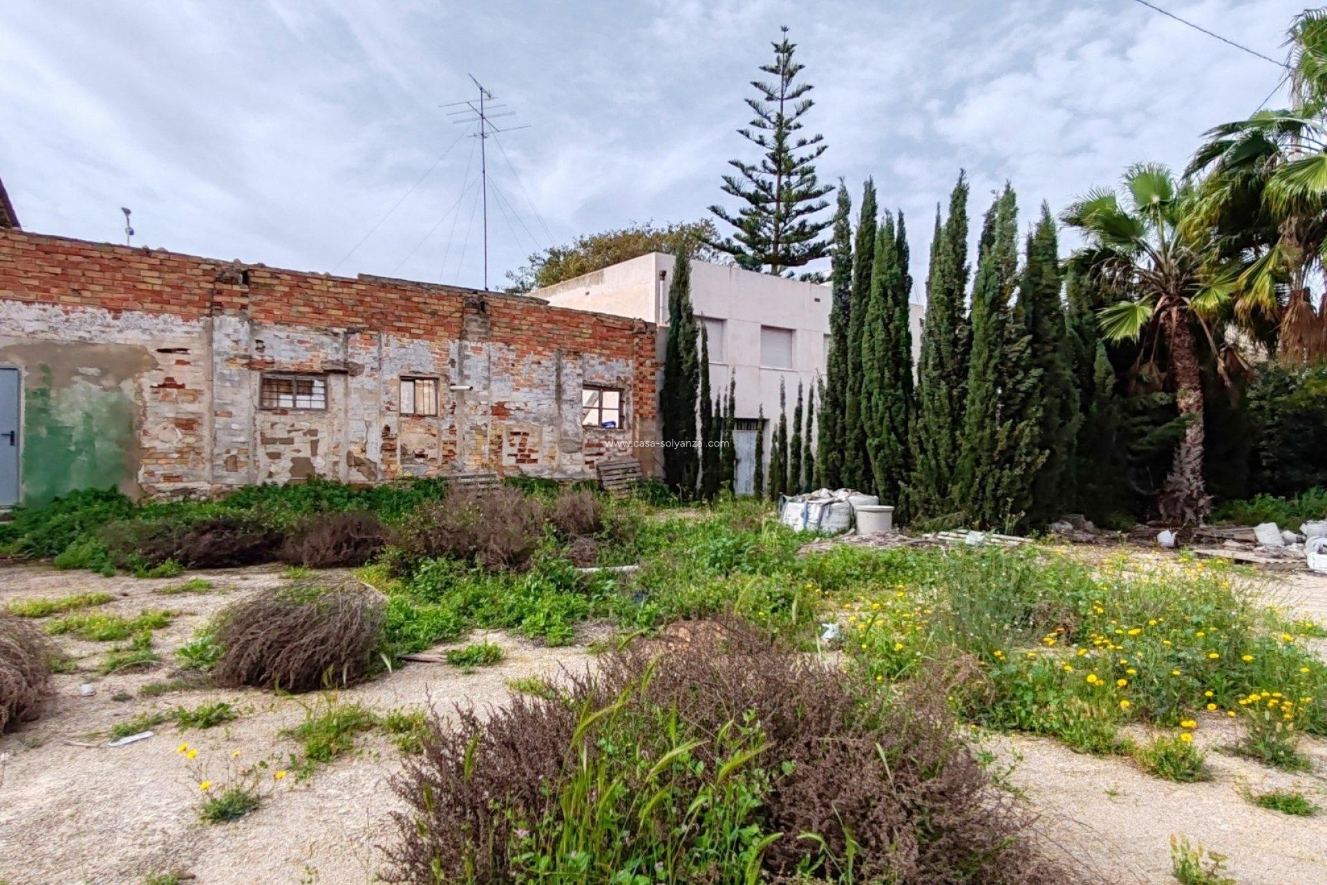 Herverkoop - Land - Orihuela