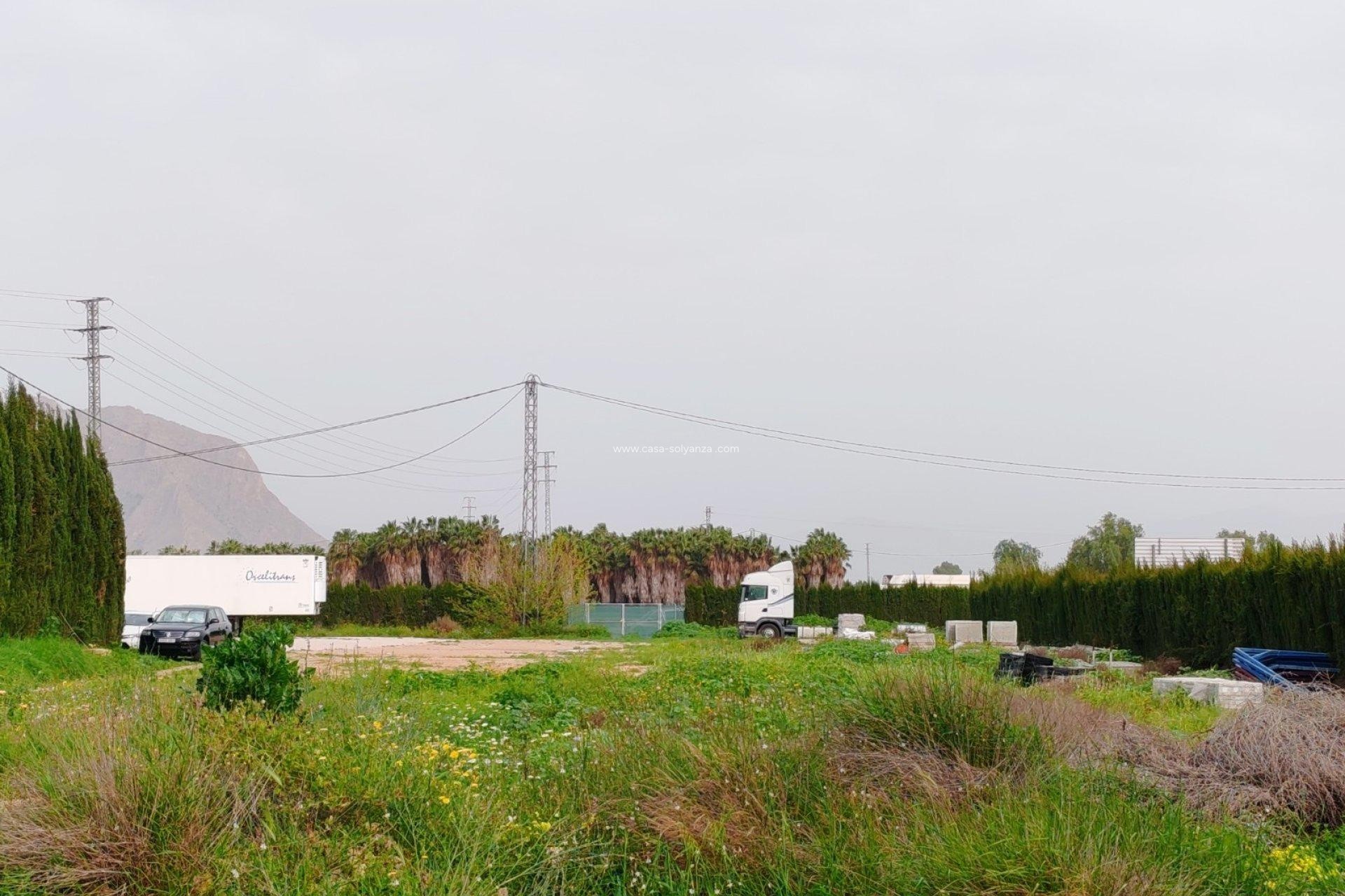 Herverkoop - Land - Orihuela