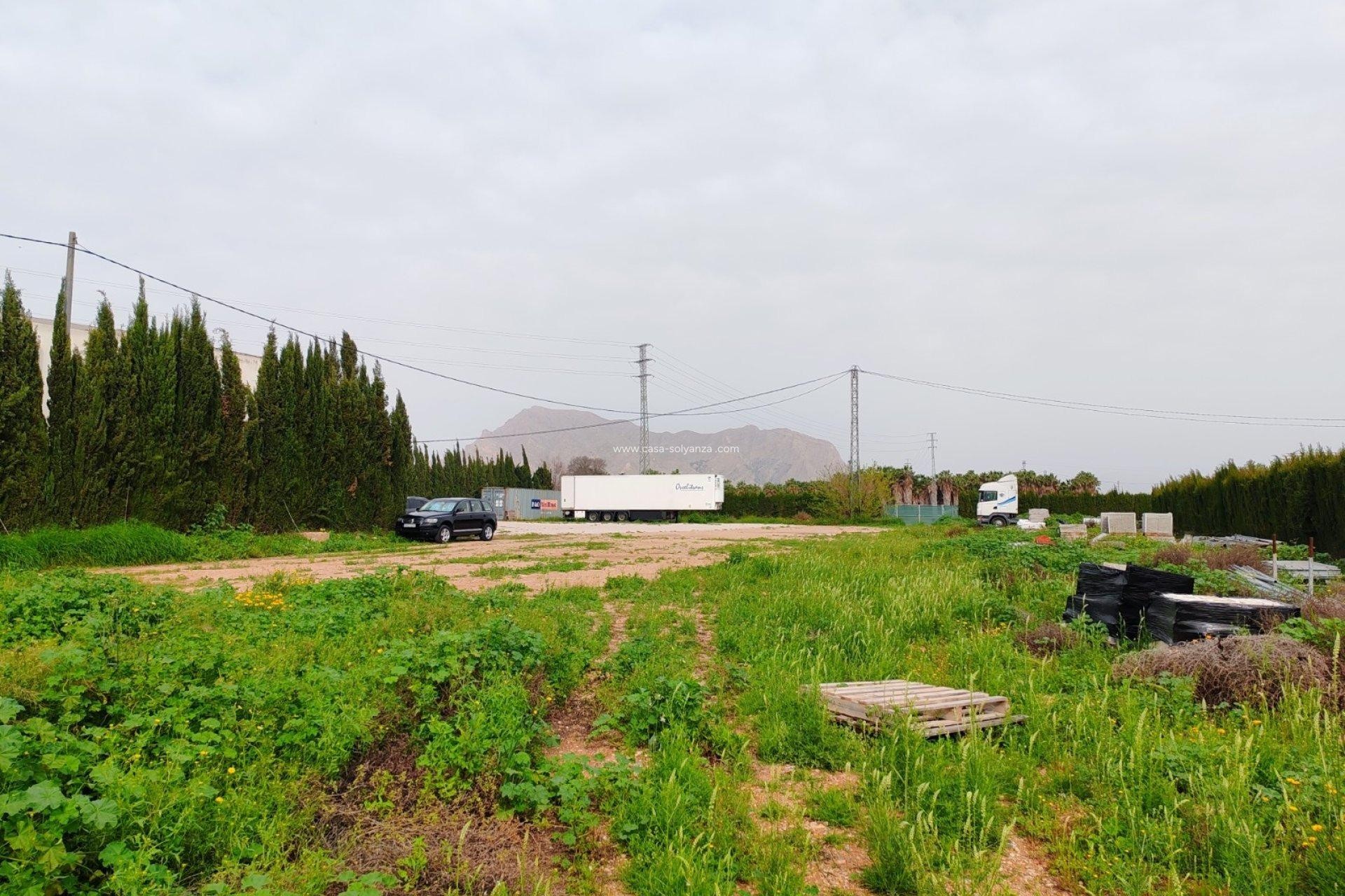 Herverkoop - Land - Orihuela