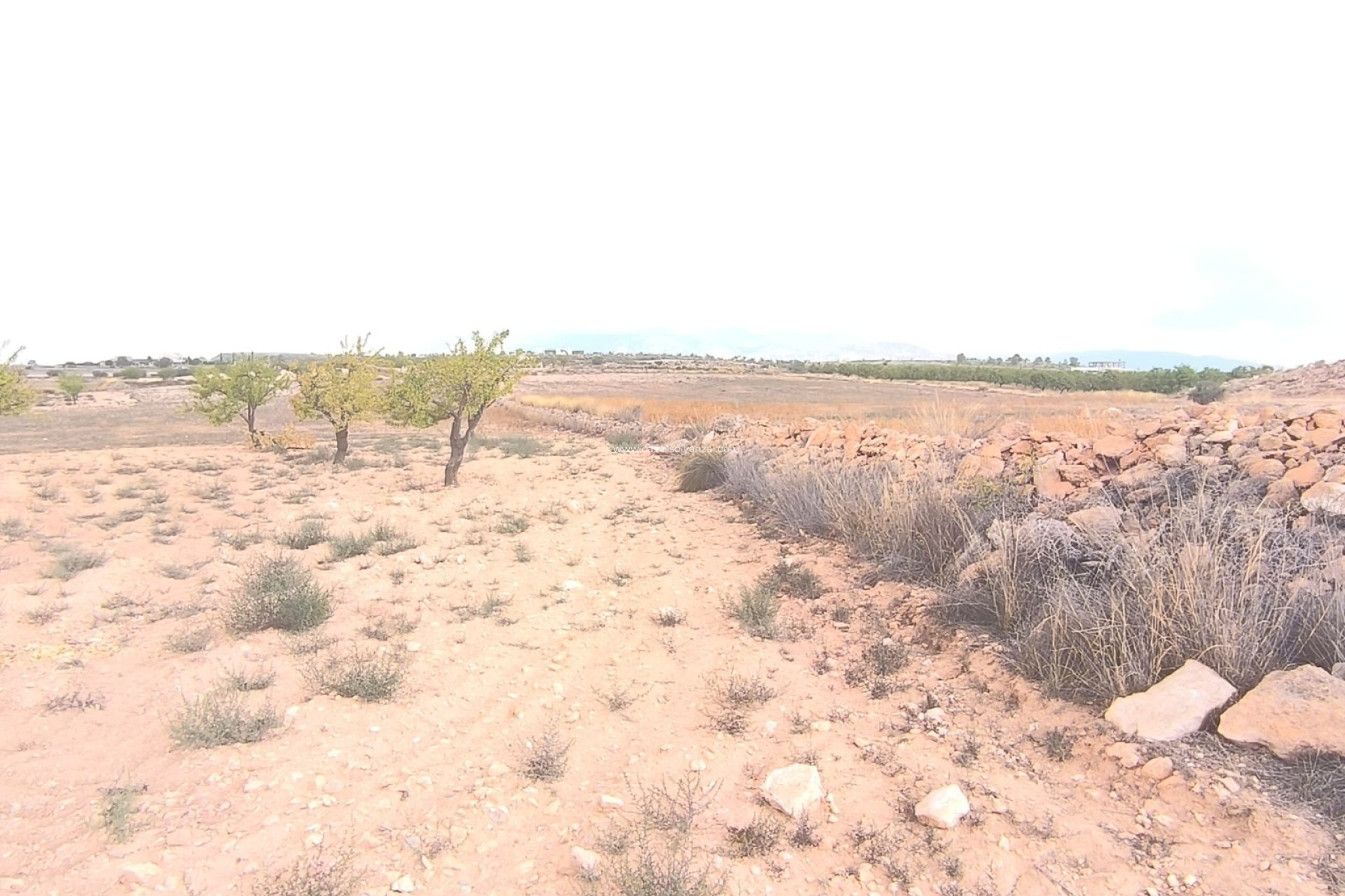 Herverkoop - Land - Pinoso - Inland