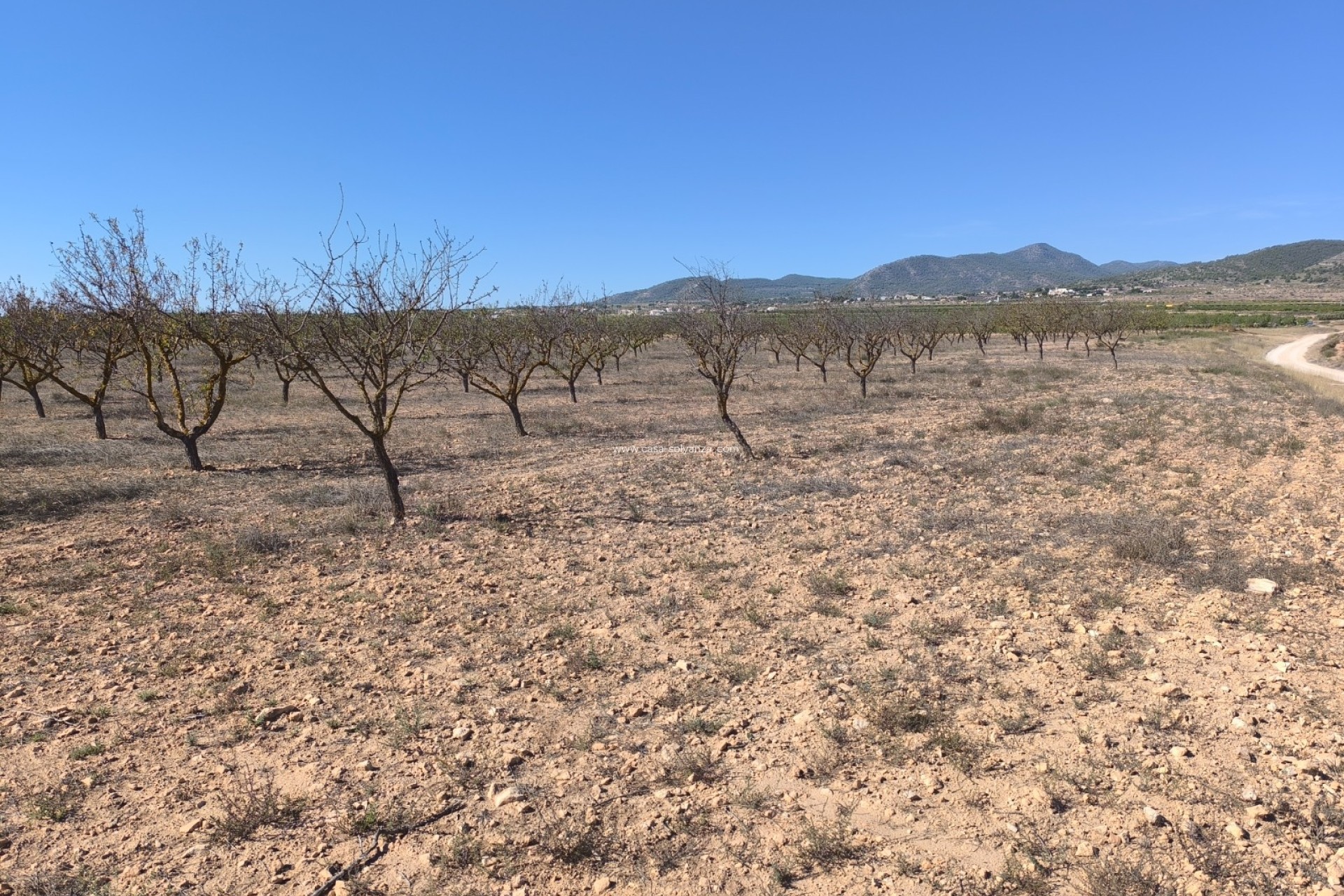 Herverkoop - Land - Pinoso - Inland