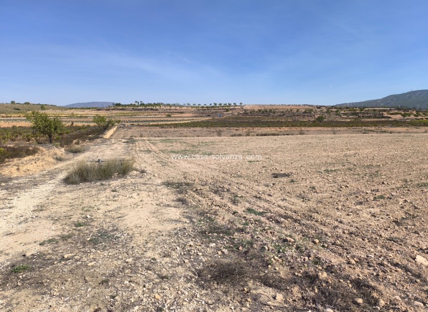 Herverkoop - Land - Pinoso - Inland