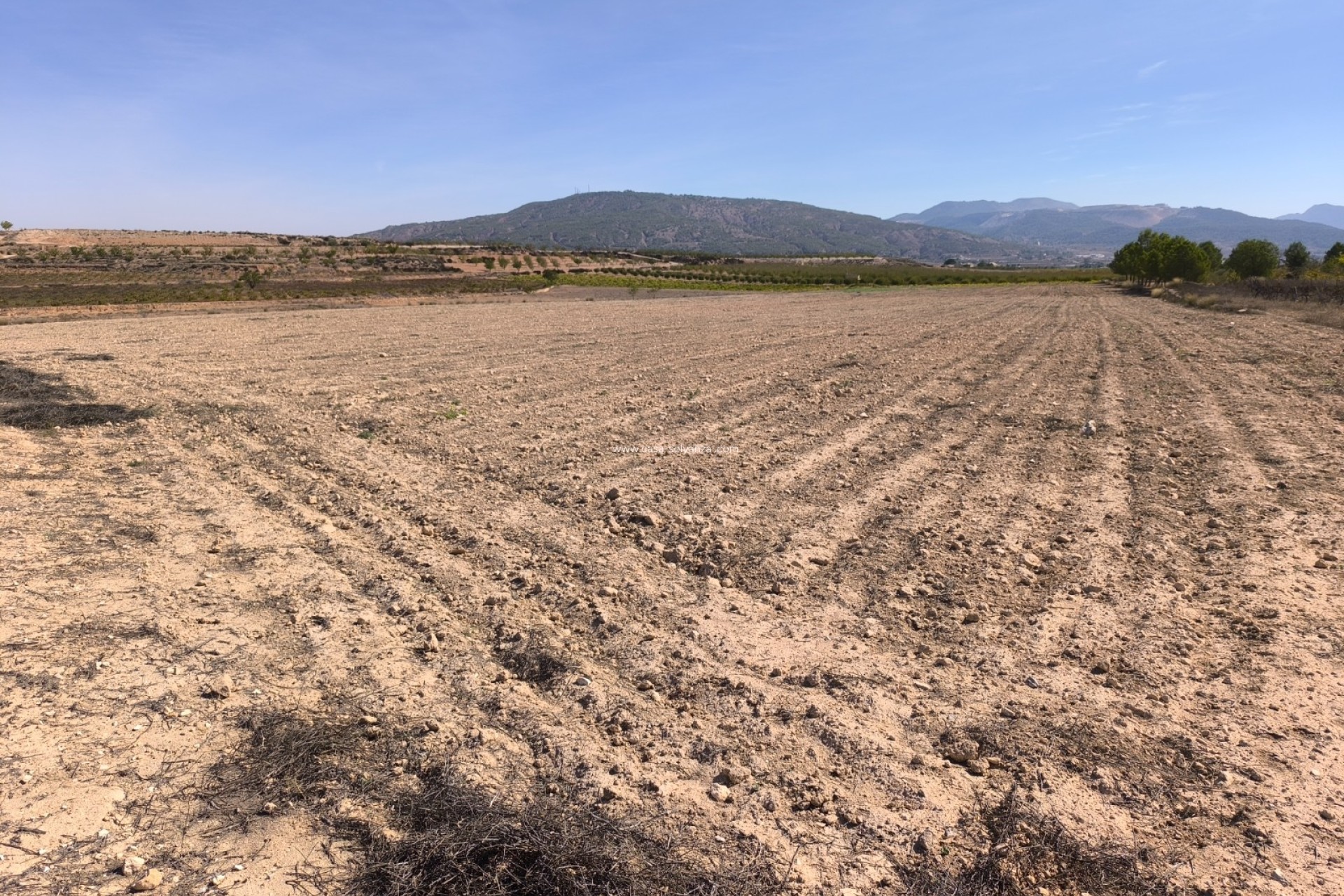 Herverkoop - Land - Pinoso - Inland