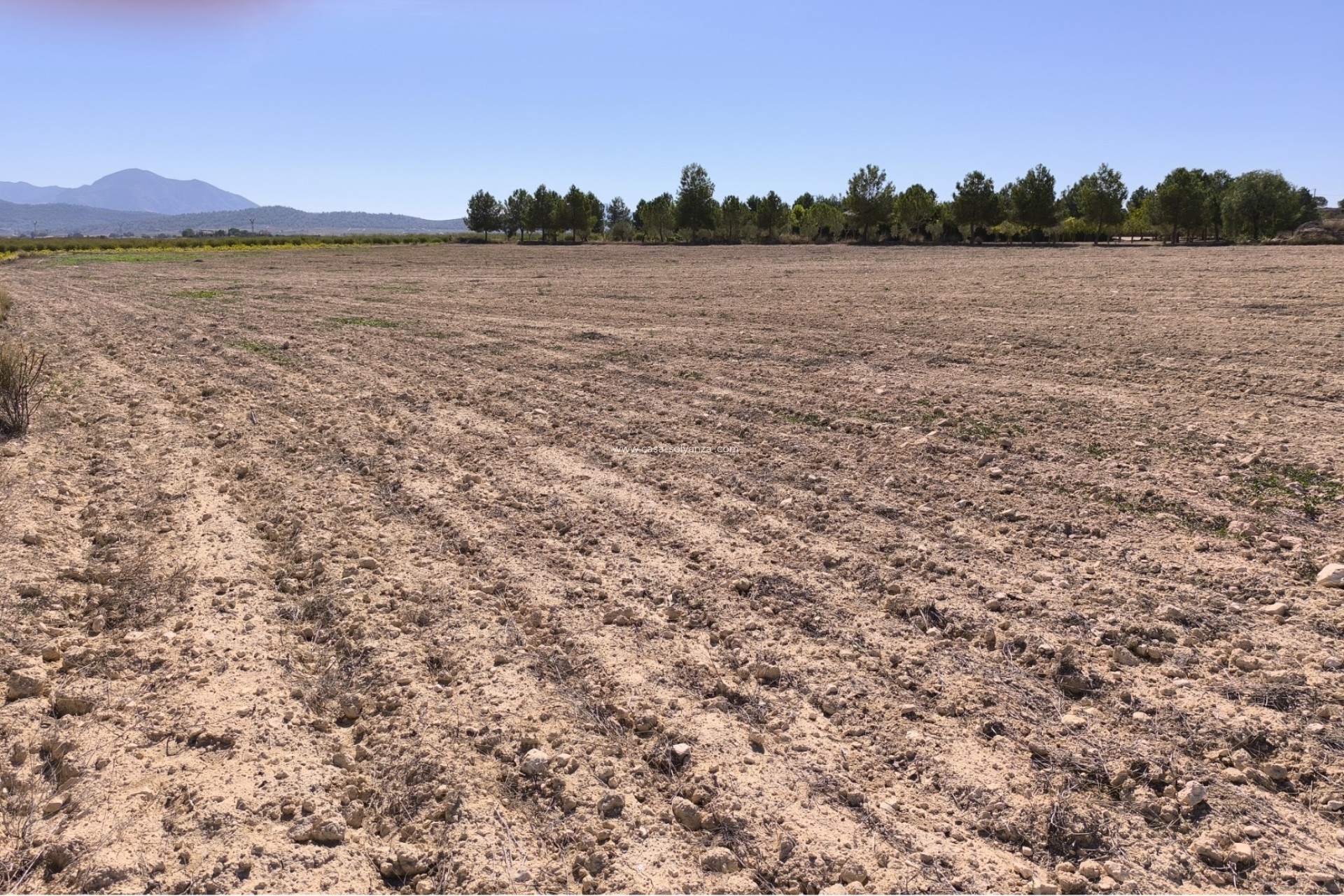 Herverkoop - Land - Pinoso - Inland