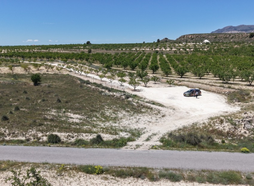 Herverkoop - Land - Pinoso - Inland
